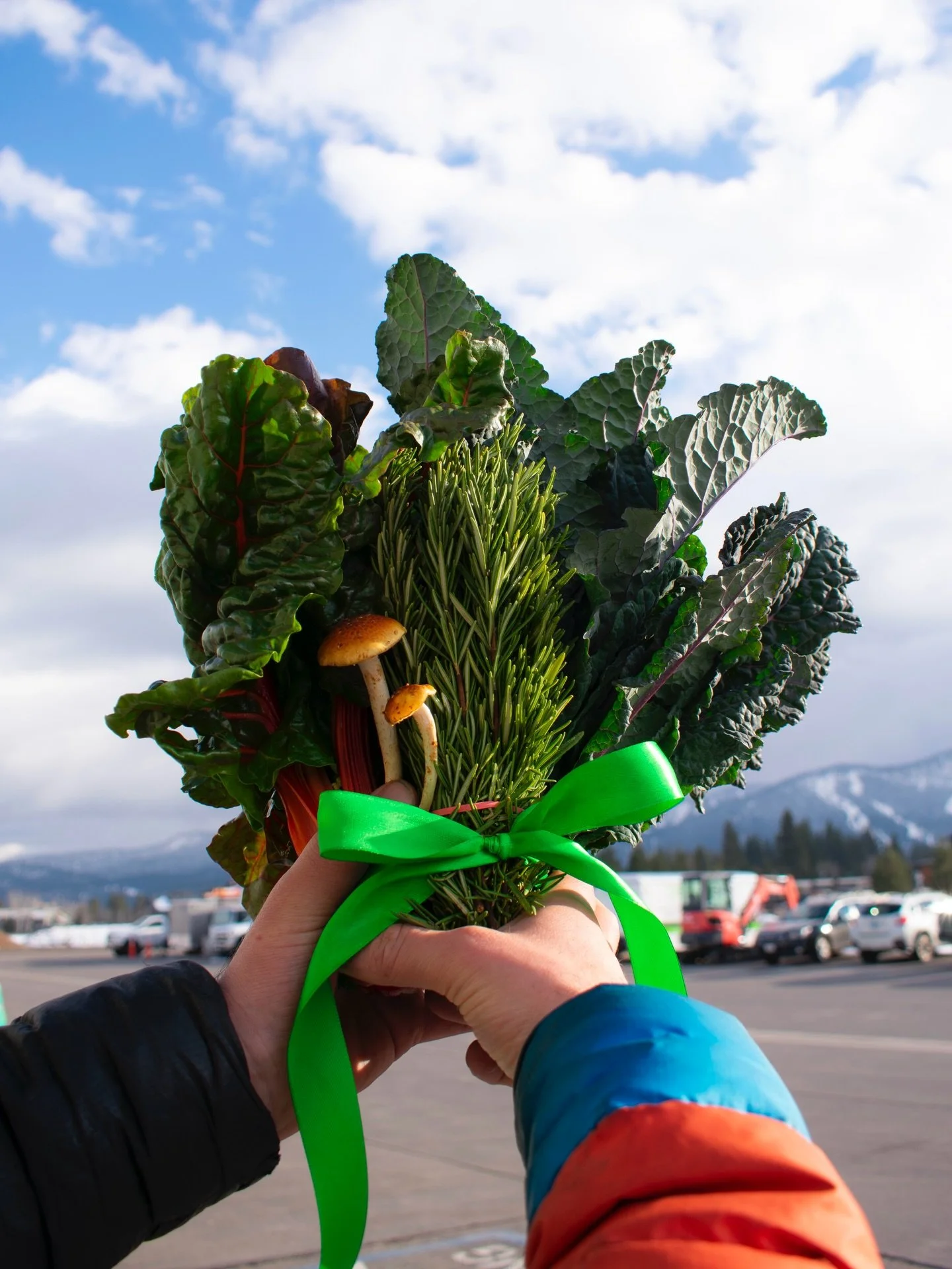 🥬The online market is OPEN🍊

Bunches of produce for the ones you love! Stock up on all your favorites before the incoming storms (crossing our fingers for more snow). We have 5 lb. bags of Tango Mandarins from @sunsetridgefinefruits, Tiny Tuber pot