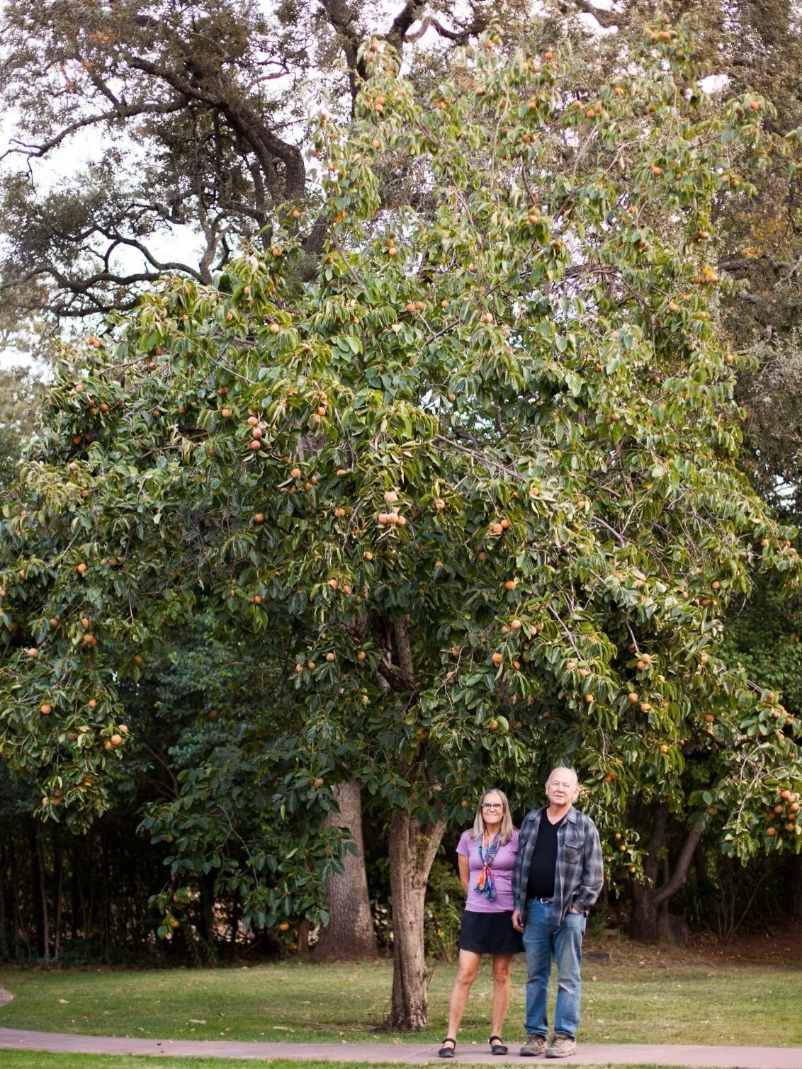 Farm Feature: Flower Farm🌳🍊

It&rsquo;s Navel season, and this week we are highlighting Flower Farm in Loomis, CA!

John &amp; Annie Bowler, along with their children, purchased the Flower Farm in 2004. The Flower Farm is now home to six acres of m