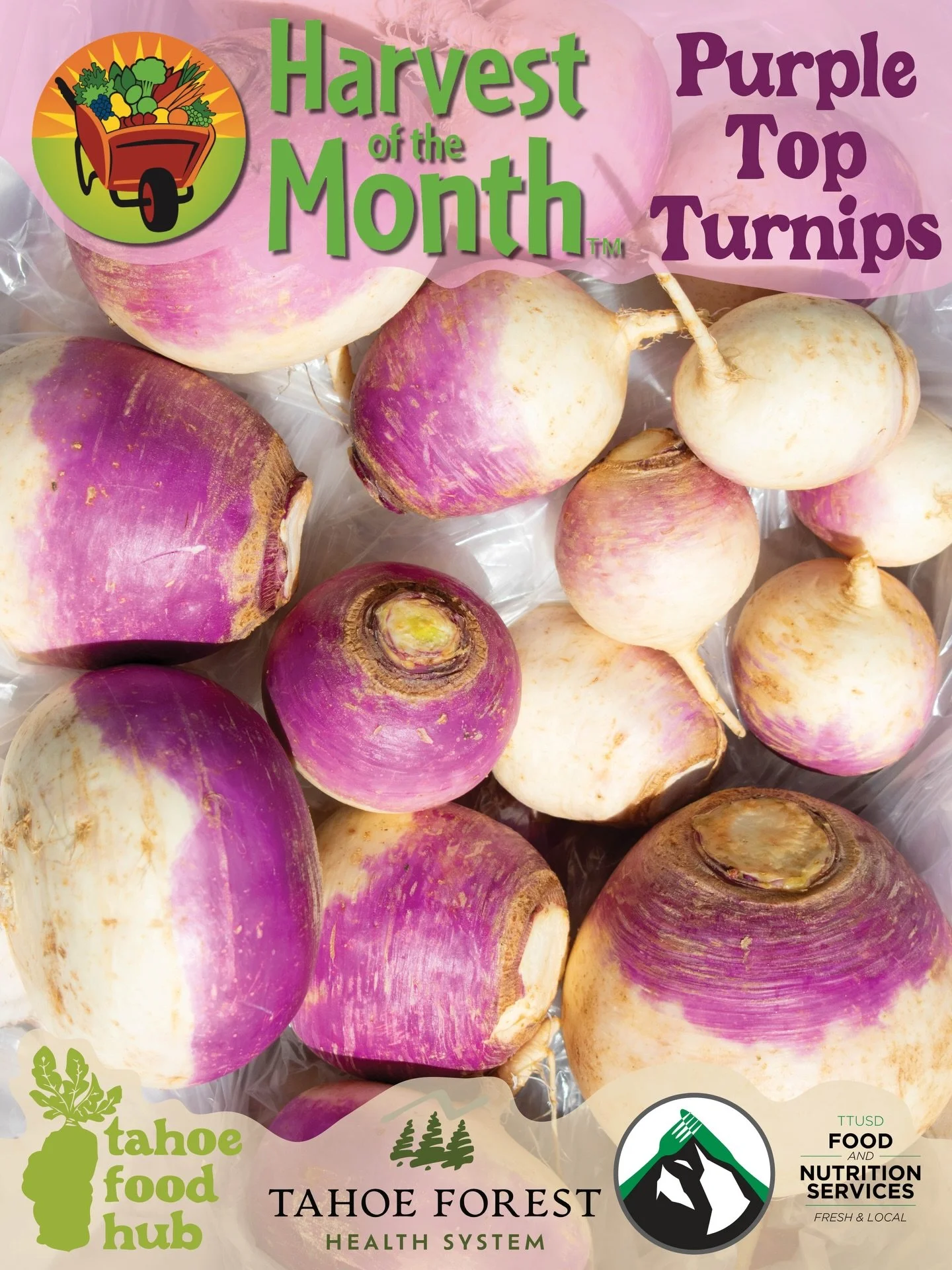 This month&rsquo;s Harvest of the Month feature is Purple Top Turnips, a versatile and nutritious root vegetable grown by several of our regional farm partners: Starbright Acres Family Farm in Grass Valley (Nevada County), Natural Trading Company in 