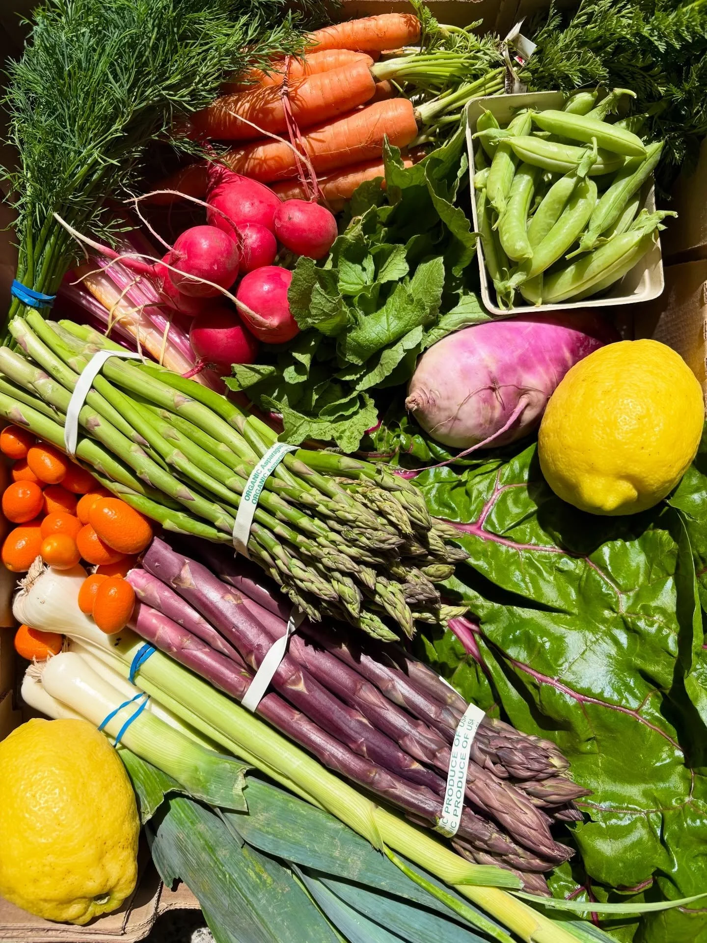 Spring has arrived! Get excited because we have so much beautiful Spring produce to offer this week. Everything from massive rainbow chard, purple asparagus, red radishes and fresh flowers! 

Stop into the Farmacy today from 4-7pm 
Friday from 10am t