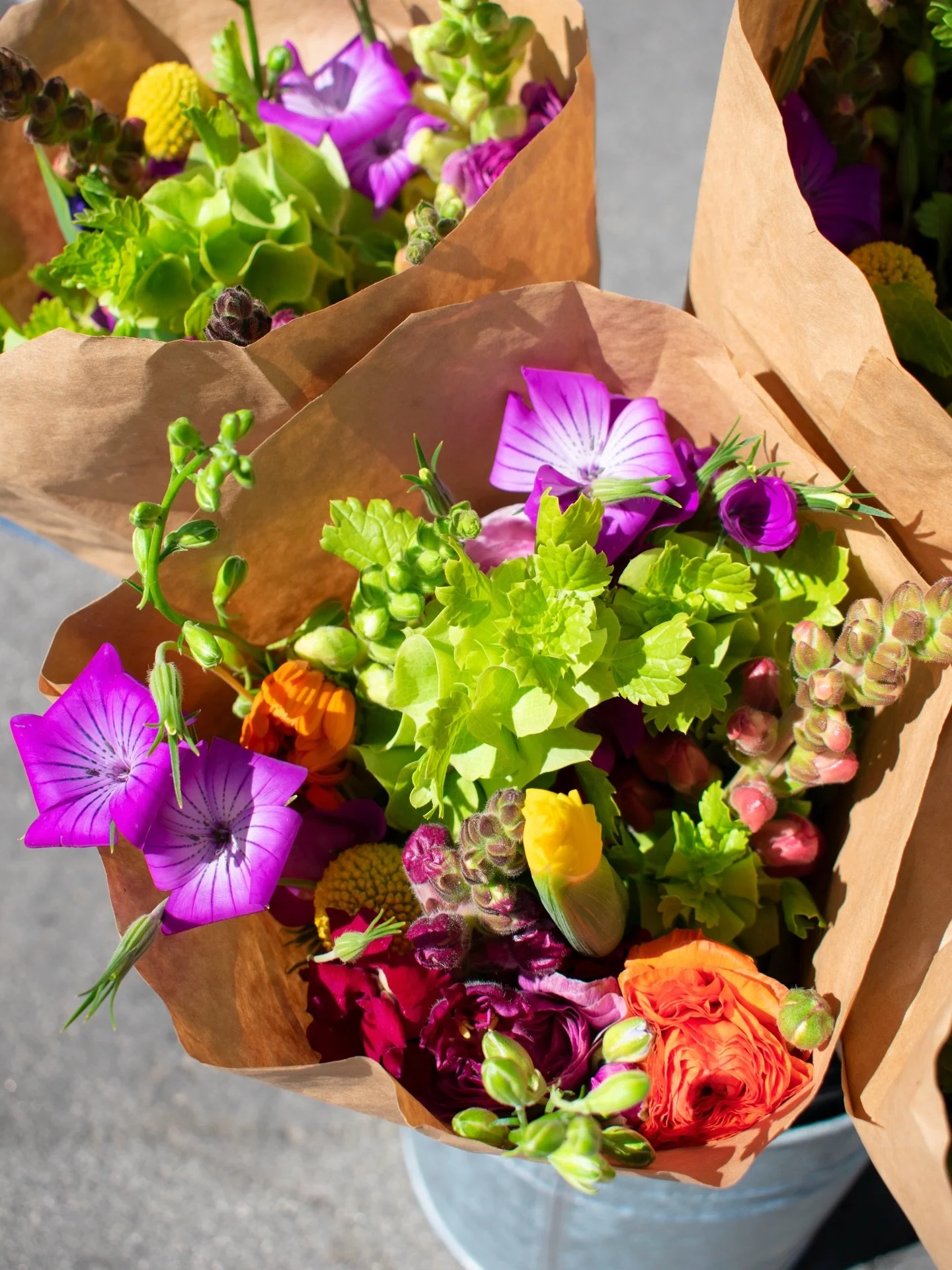 The shop is OPEN 🌺

We have LOTS of spring bouquets and peonies to brighten your spaces! Stop in and grab a bunch or a few 🌼🌸

🛒Farmacy Hours🥬
Thursday 4 - 7 PM
Friday 10 AM - 6 PM
Saturday 12 - 6 PM