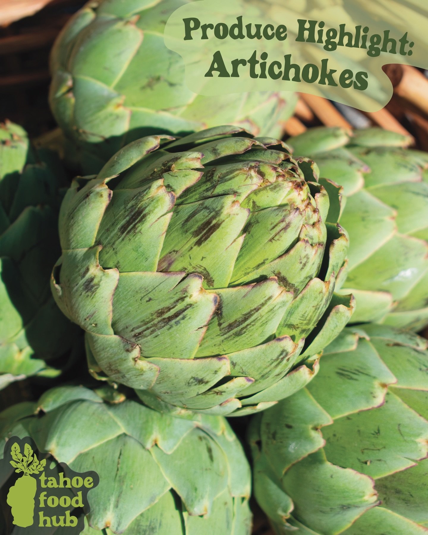 The online market is OPEN 💚

Artichoke season is here and thriving! We are getting artichokes this week from Spade &amp; Plow Organics via the Spork Food Hub. We love partnering with fellow food hubs like @spork.food.hub and @capayvalleyfarmshop to 