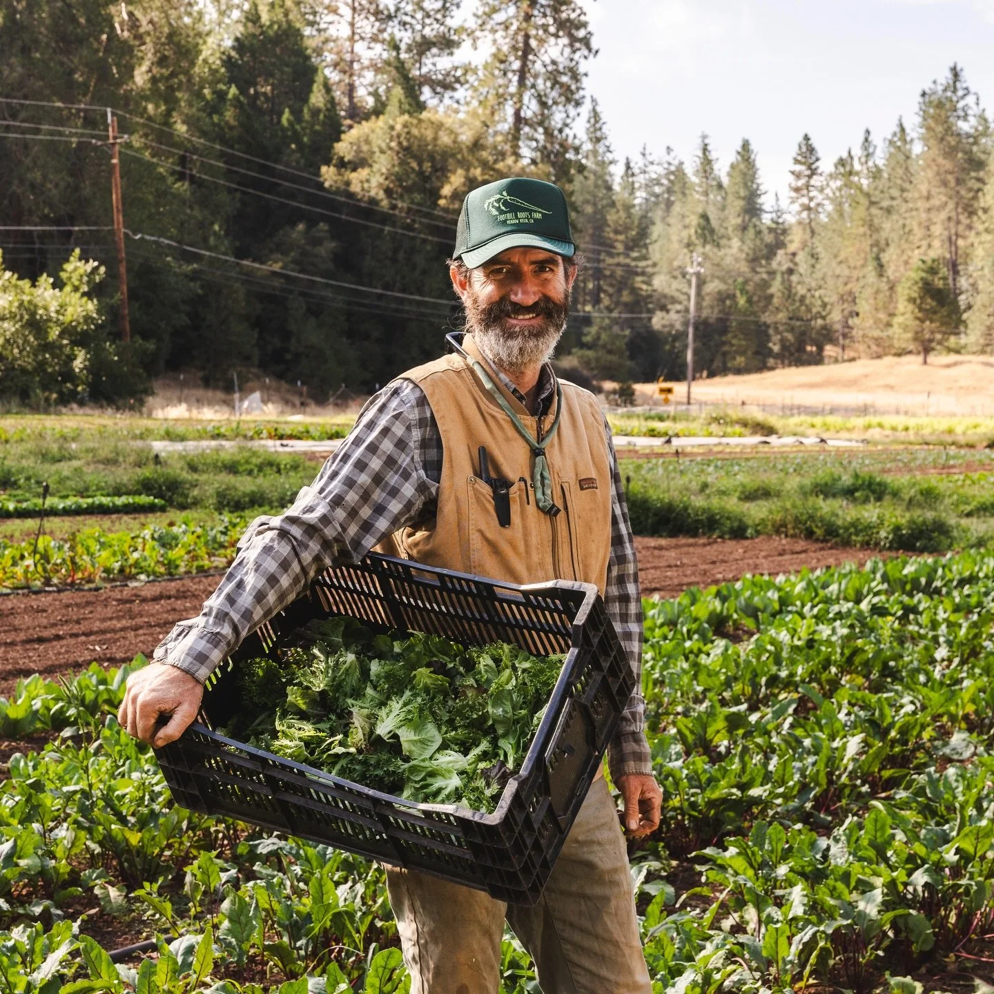 Fresh salad mix is back from Foothill Roots Farm! 🥗✨ This delicious triple-washed blend is the perfect mix of color, texture, and freshness&mdash;ready to enjoy straight from the bag. 

Located in Meadow Vista, Foothill Roots Farm uses thoughtful gr