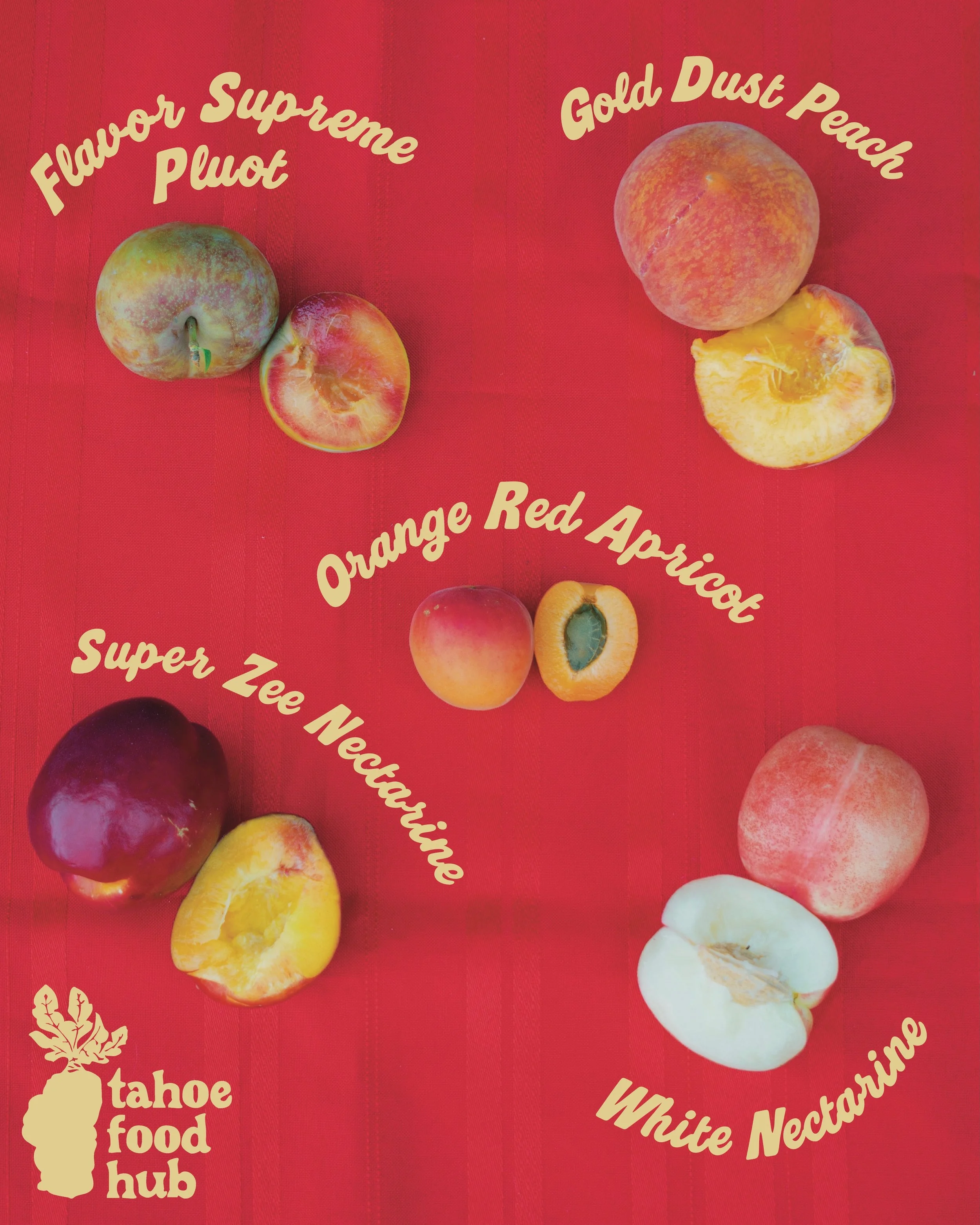 Stone Fruit Season! 🍑

Peaches, nectarines, apricots, pluots, oh my! We have endless quantities and varieties of your favorite stone fruit from growers like&nbsp;Dhillon Farm, Lolmaugh Produce, Brenner Ranch,&nbsp;and more. Stone fruit is a versatil