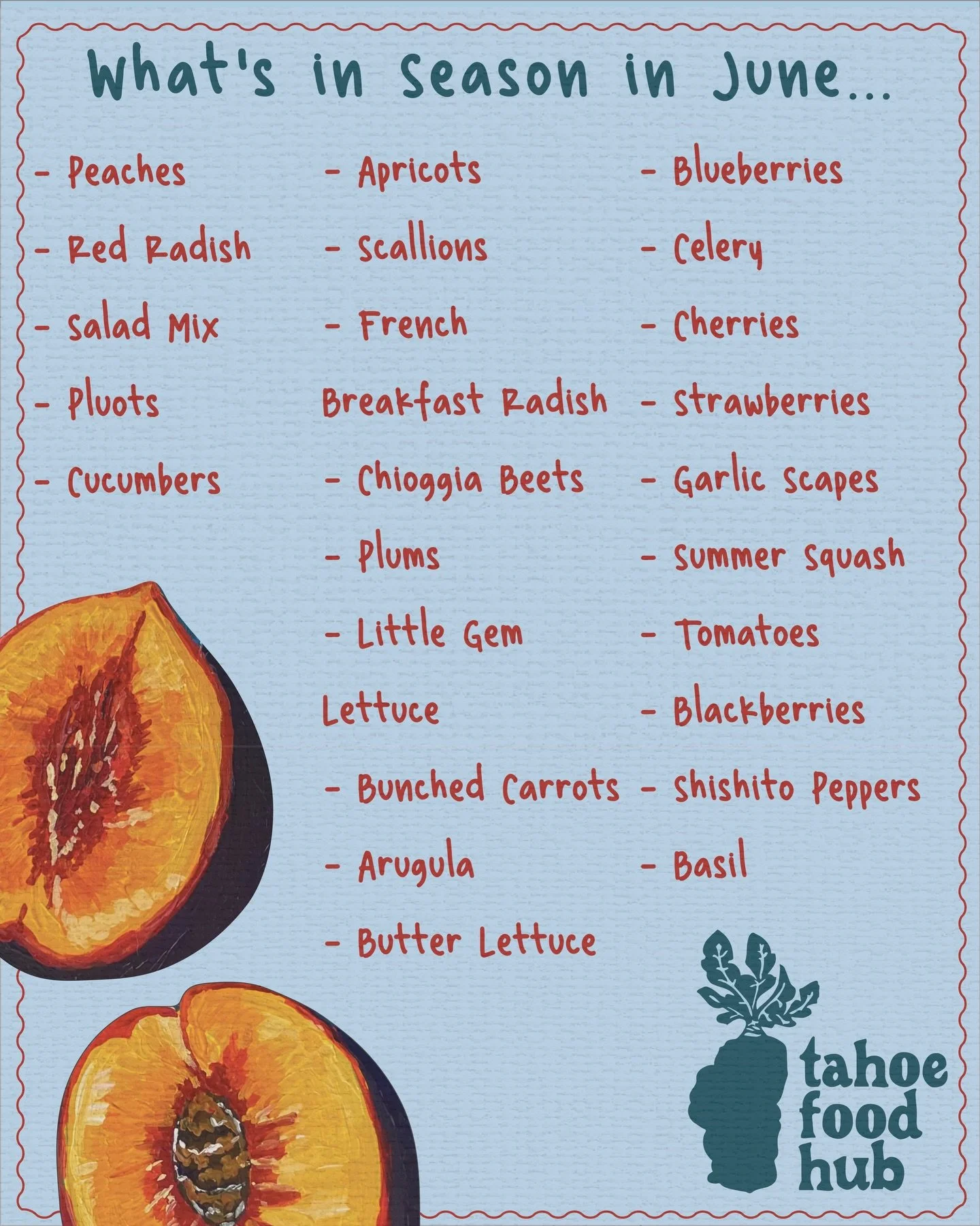 🌞 June is here! 🌱🍓🍑 

Our farmers are harvesting an incredible abundance right now, and the market is packed with fresh, local goodness. This month you&rsquo;ll find juicy apricots, peaches, plums, pluots, blueberries, strawberries, heirloom toma