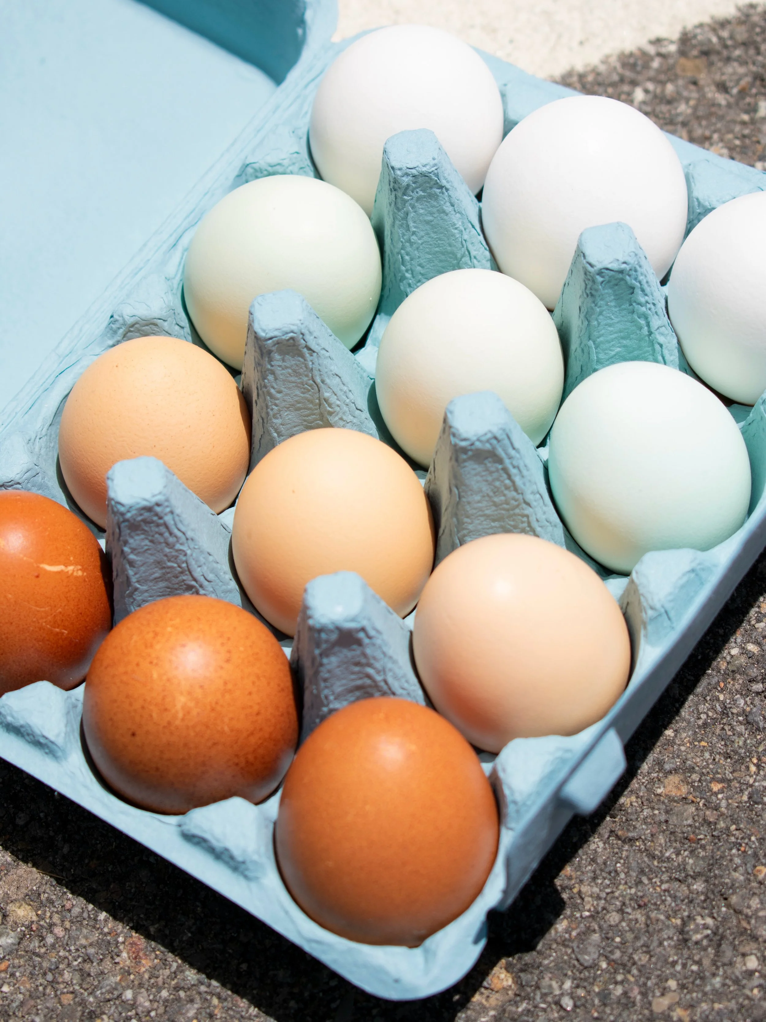 National Egg Day! 🍳✨

We&rsquo;re veggie and fruit lovers, but fresh, local eggs are such a treat! We are beyond happy to carry local chicken and quail eggs from lovely growers every week. 

🥚Colorful Chicken Eggs from @growinwildacres in the Sierr