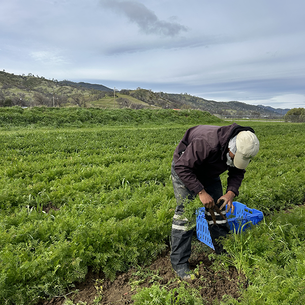 Alemaya-Farm-Tour_8758.png