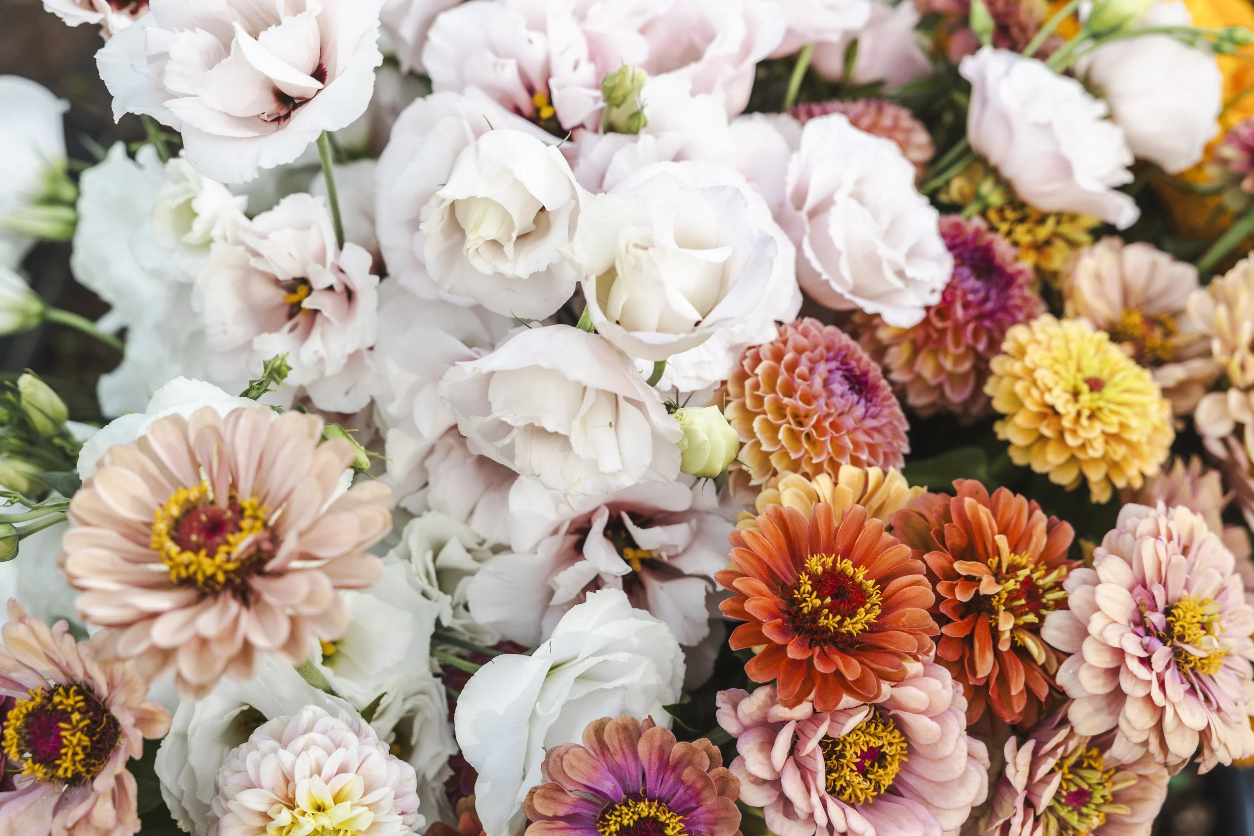 KelseyJoyPhotography_20240823_295.jpg