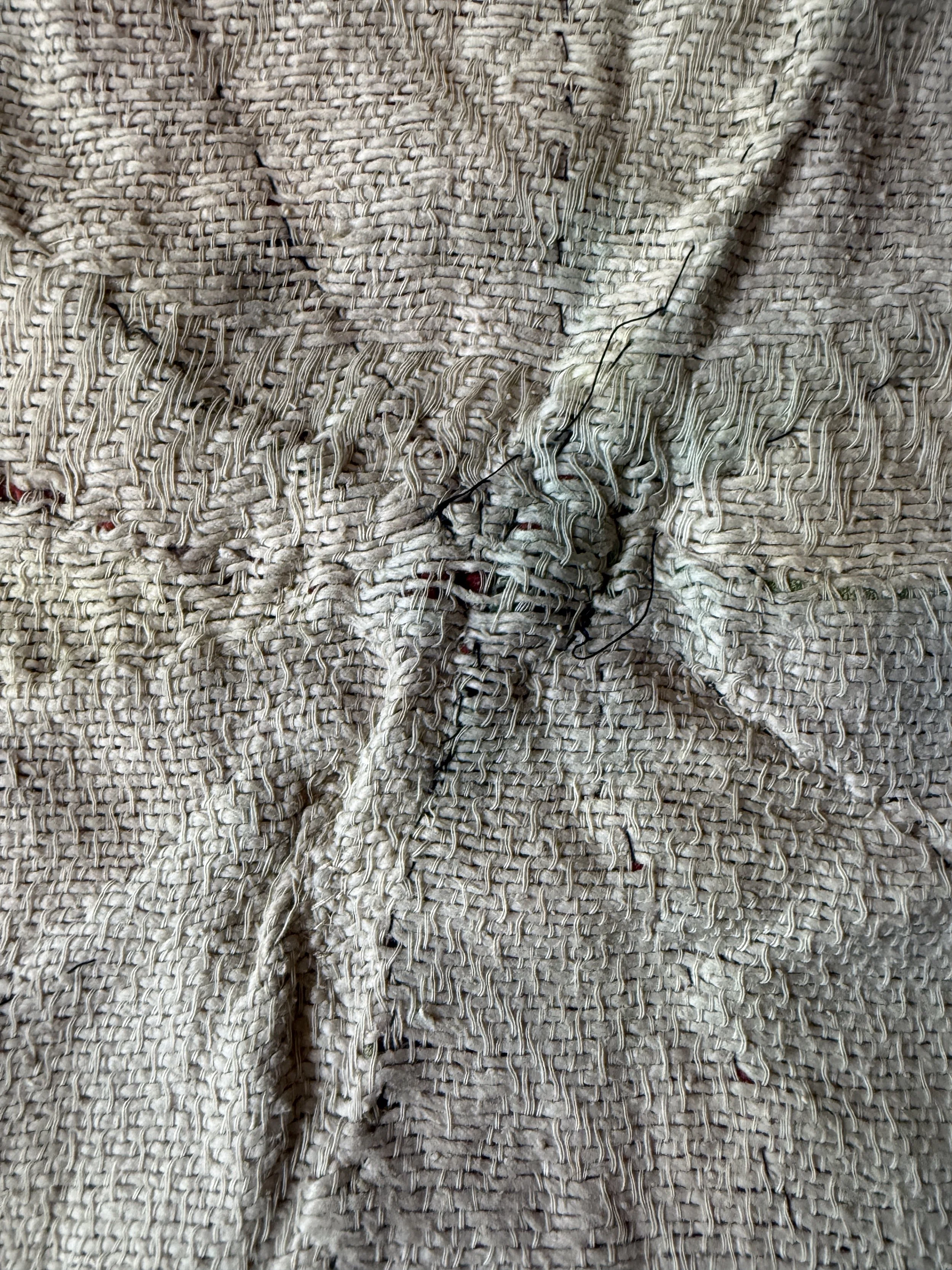 20260616_104509944_iOS.jpg