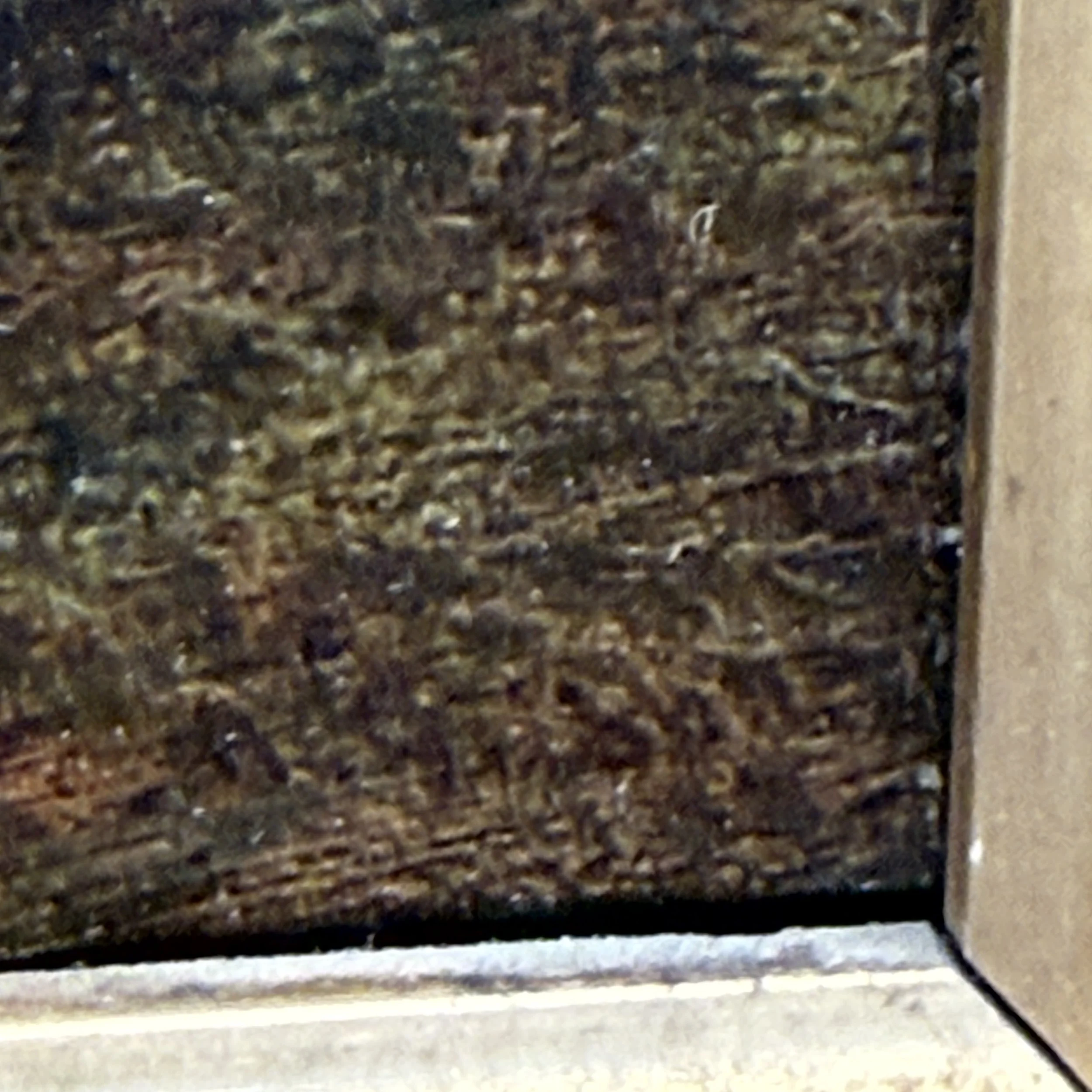 20260613_100643683_iOS.jpg