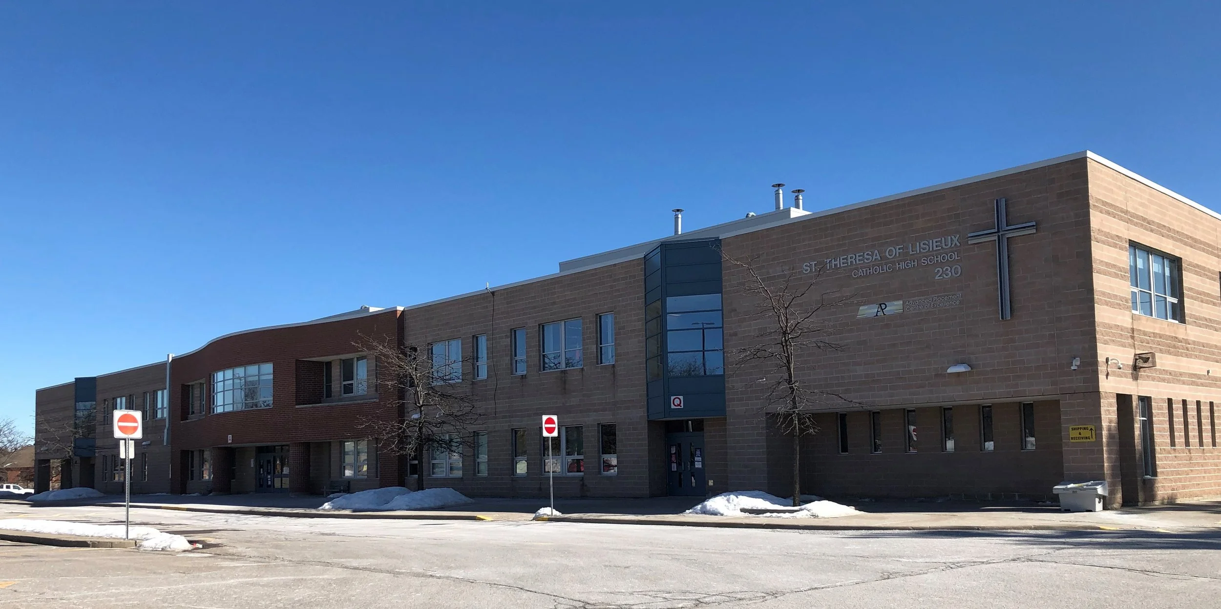 St theresa of lisieux.jpeg