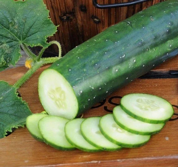 Organic Cucumber - Marketmore 76 (slicing)