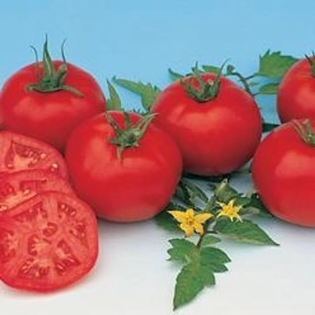 Organic Tomatoes Moskvich Heirloom