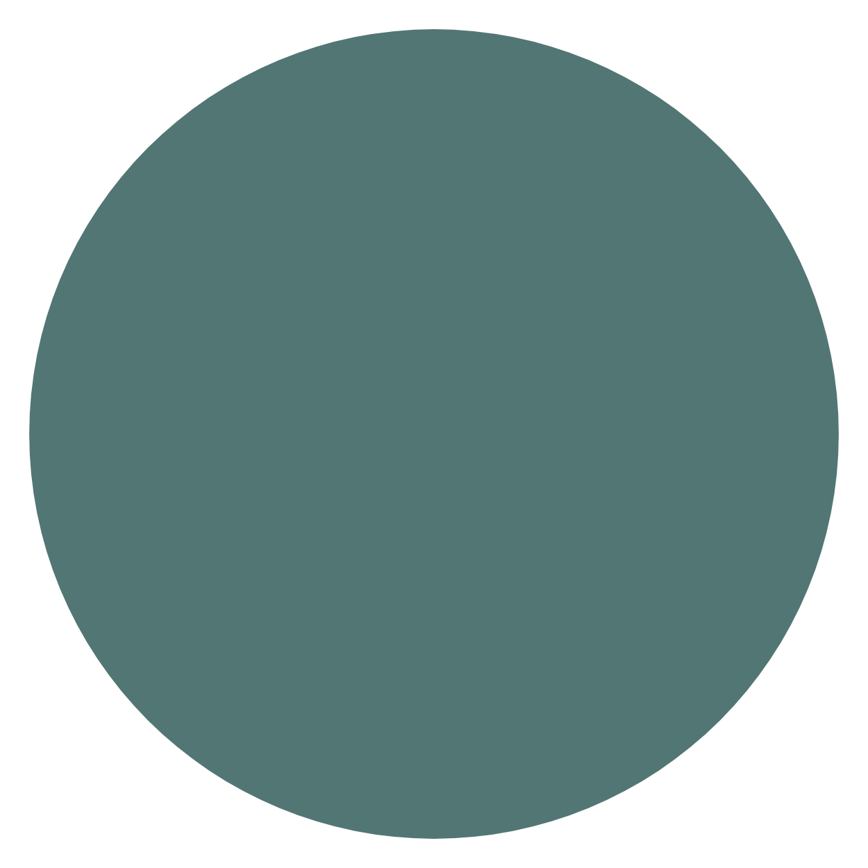 A large shaded circle with faint text in the center that appears to be a security or privacy watermark.