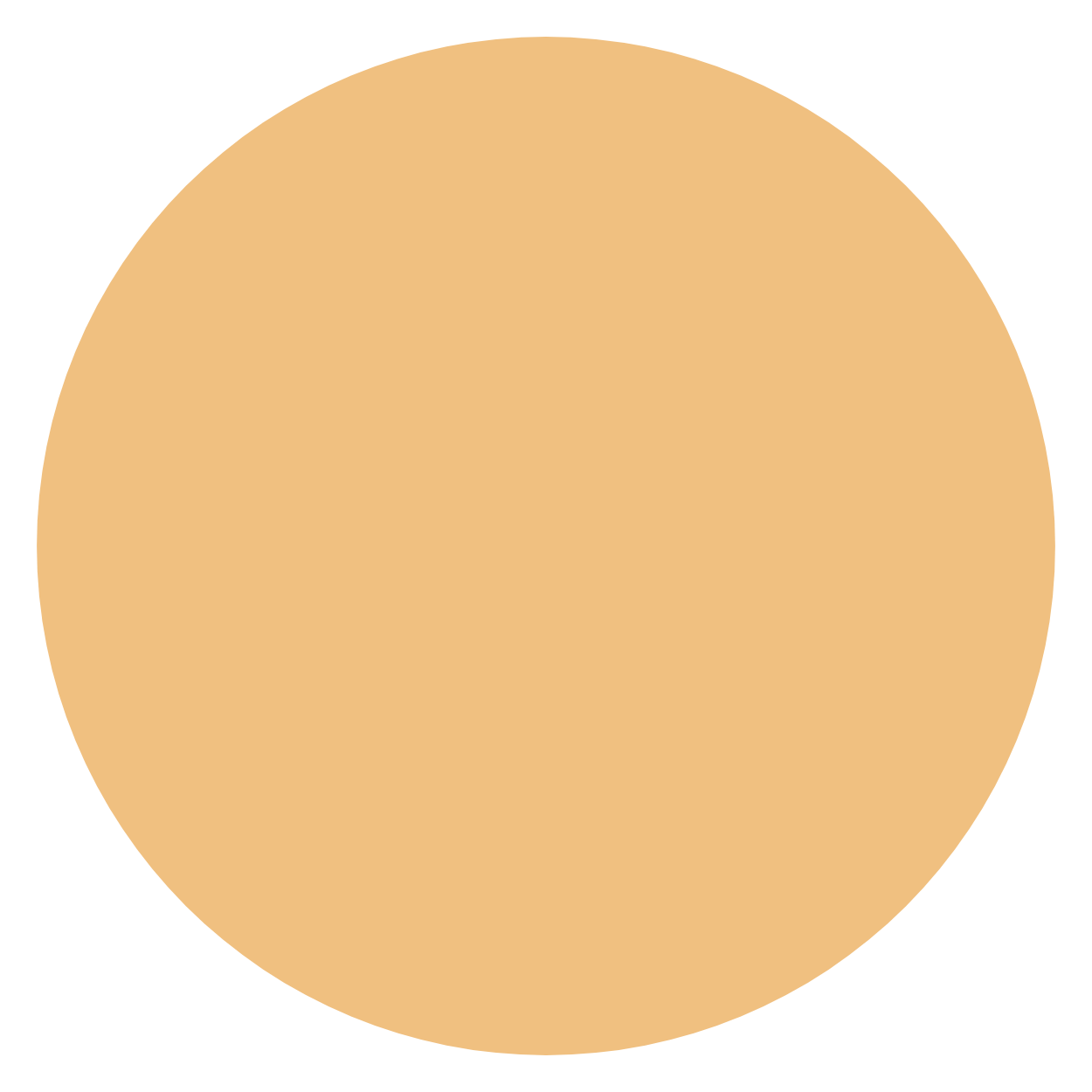 Plain beige circle on a black background.