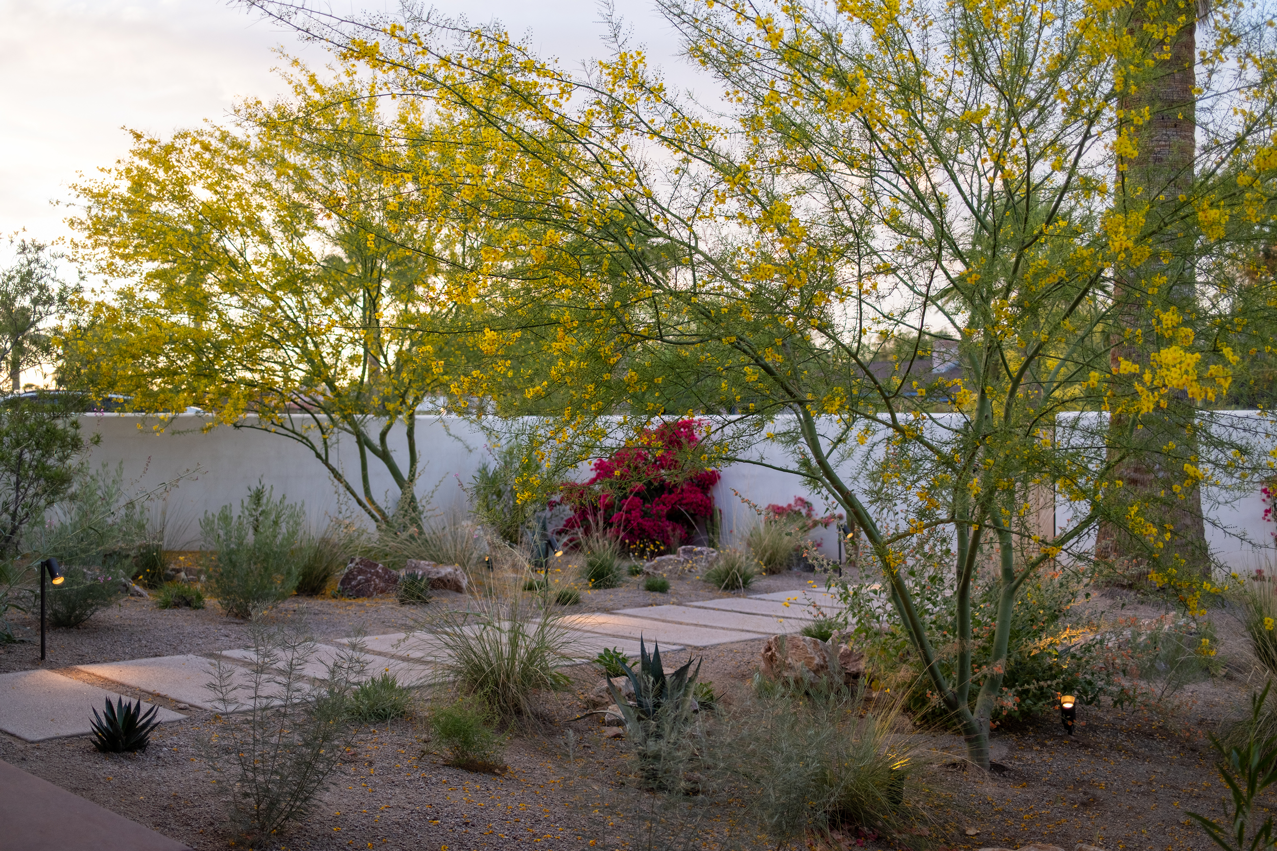 1_SIVILLI_EEdison_Tucson-11.png