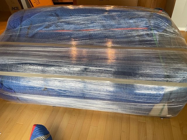 image13.jpeg