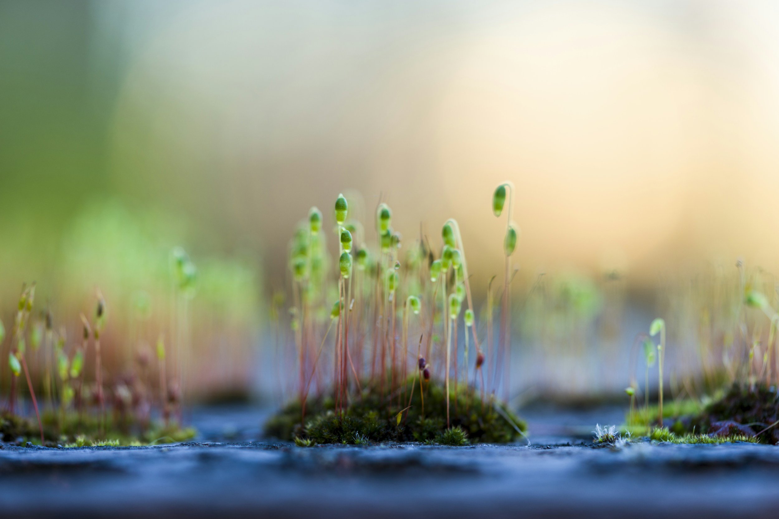 unsplash-image-Px3Jjwi0mak.jpg