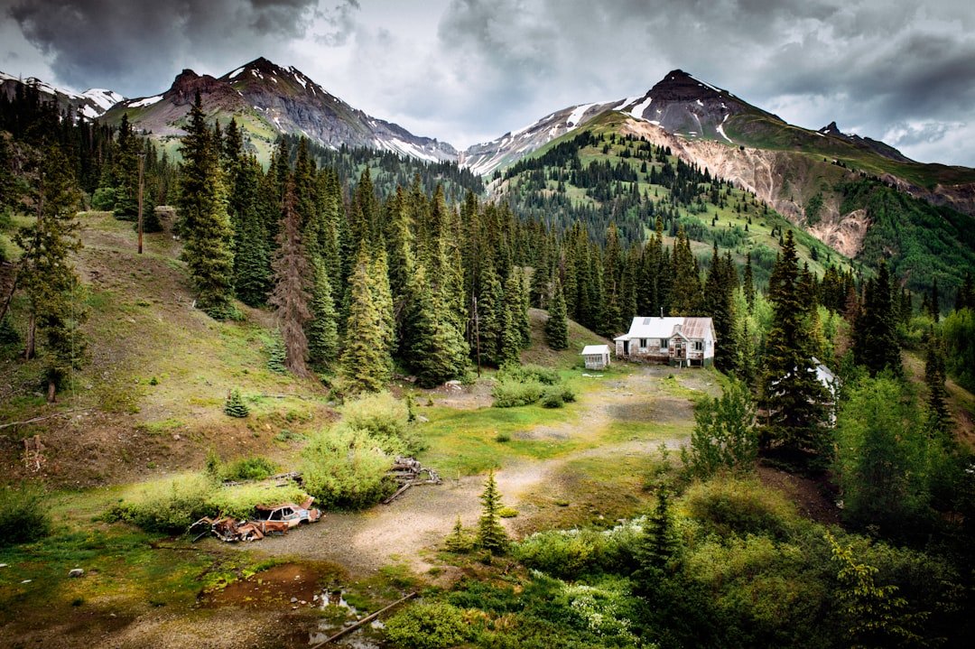 Colorado's Roofing Experts: A Comprehensive Guide