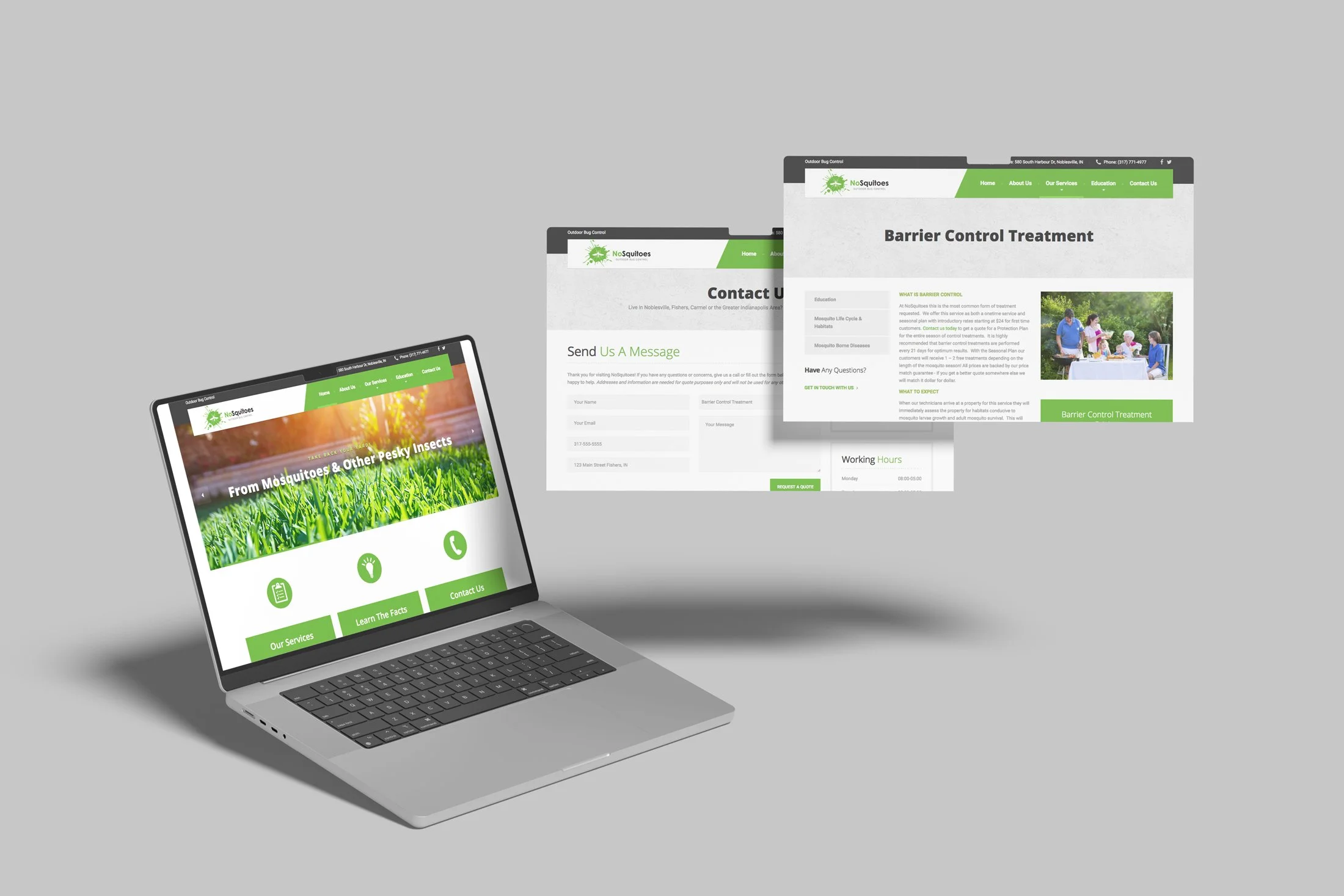 Nosquitoes-website-portfolio.jpg