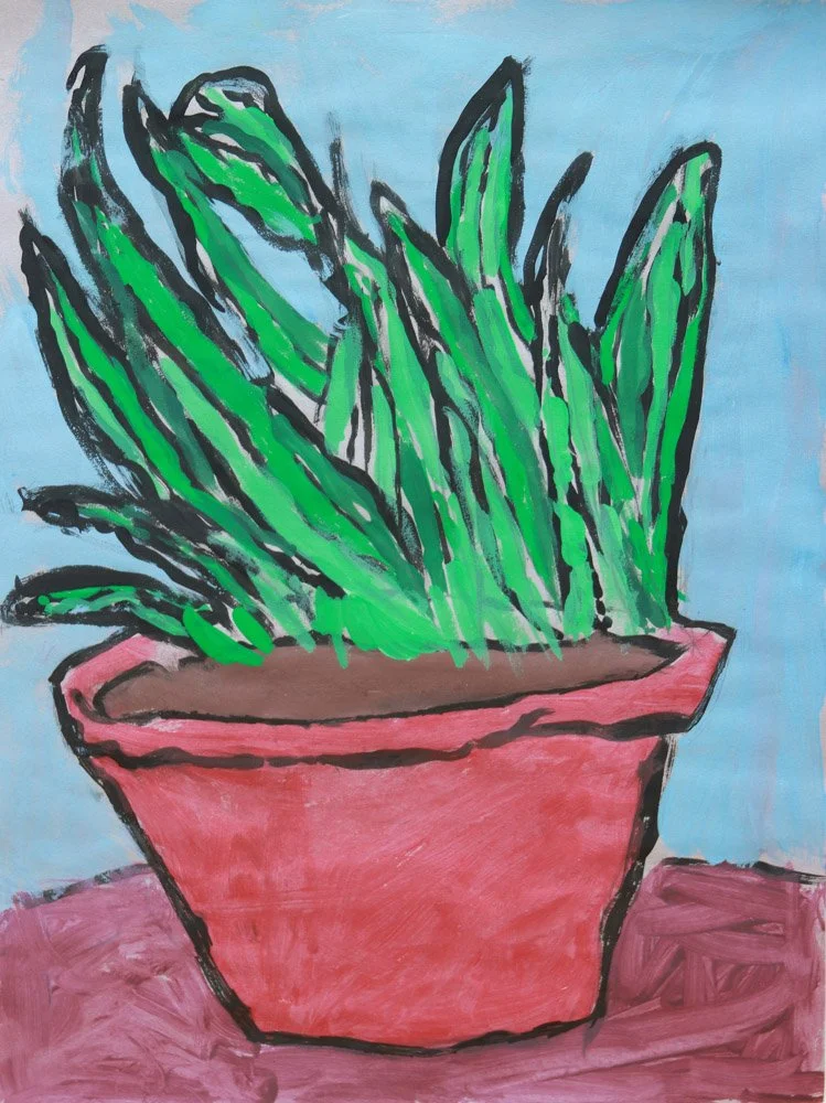 The Cactus of Craziness