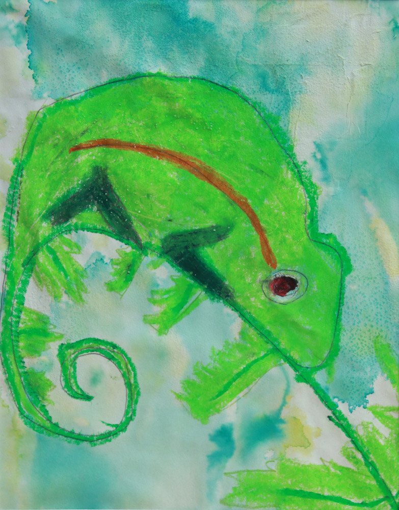 Green Leaf Chameleon