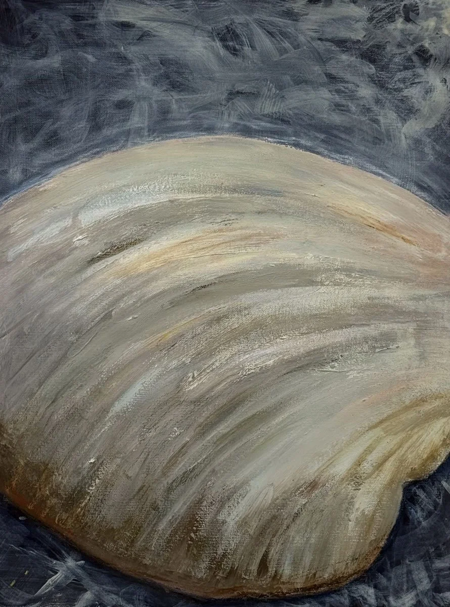 O'keffe inspired Shell Study