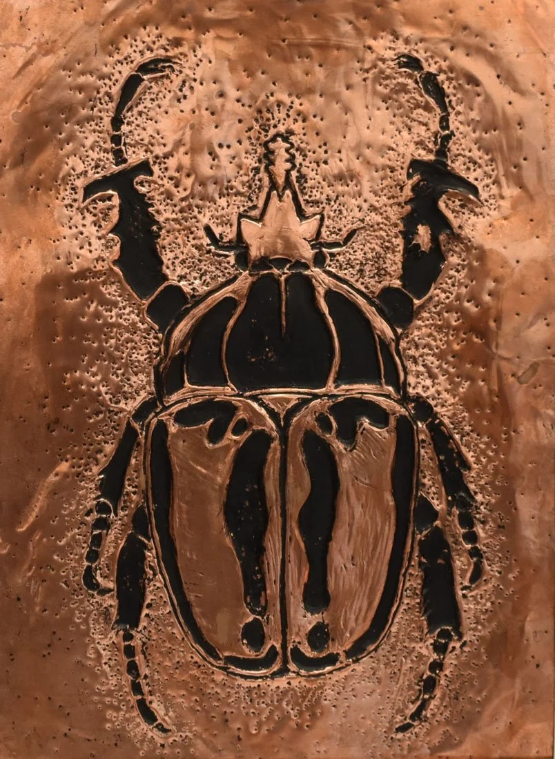 Goliath Beetle