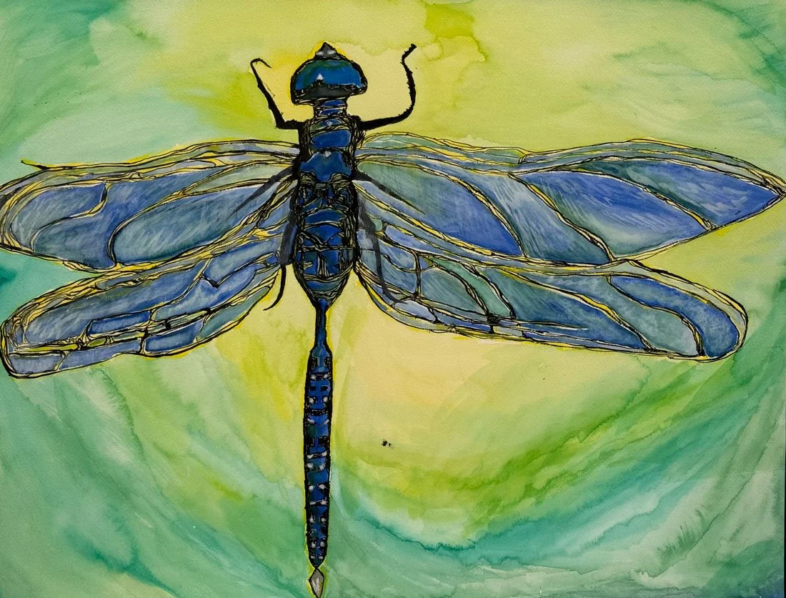 Dragonfly Wings