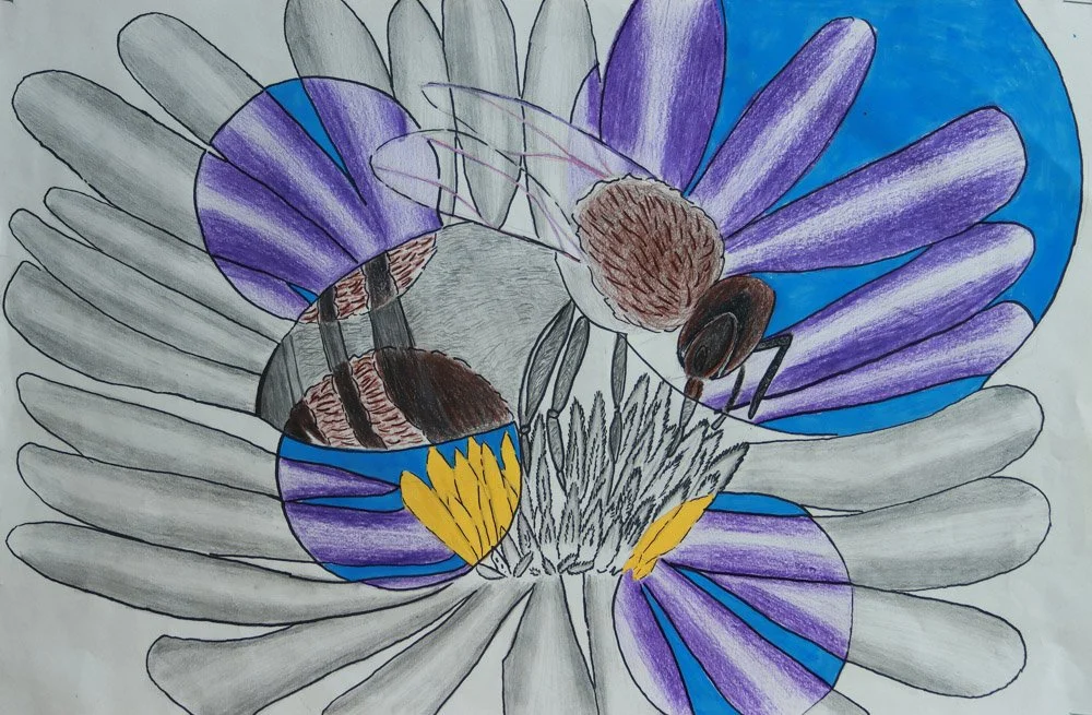 Pollinator