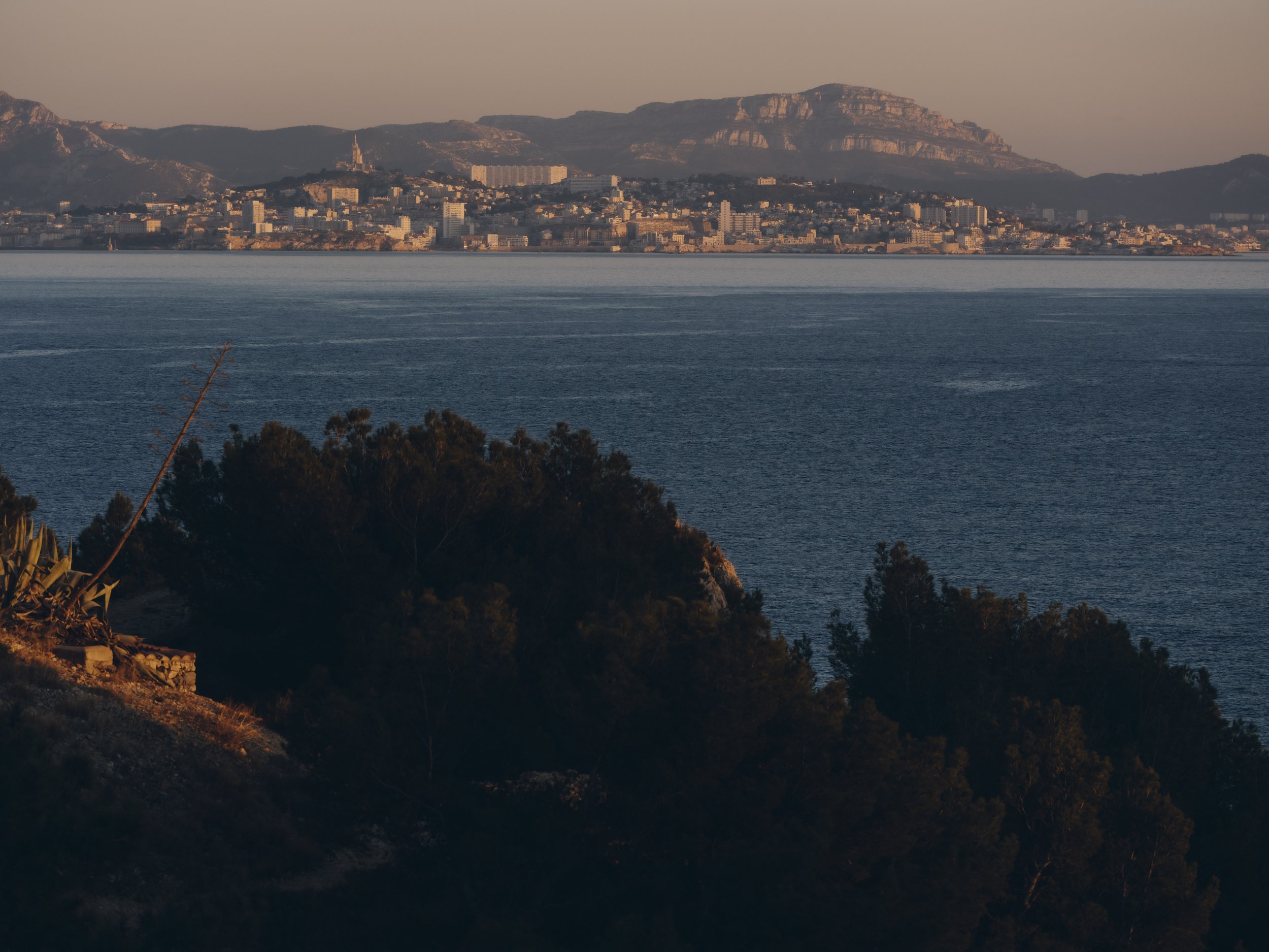 _DSF7265.jpg