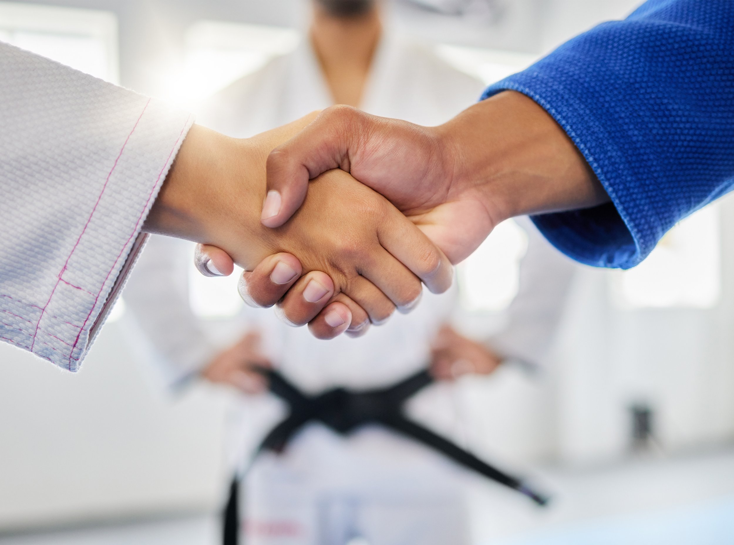 cef.martial.arts.jpg