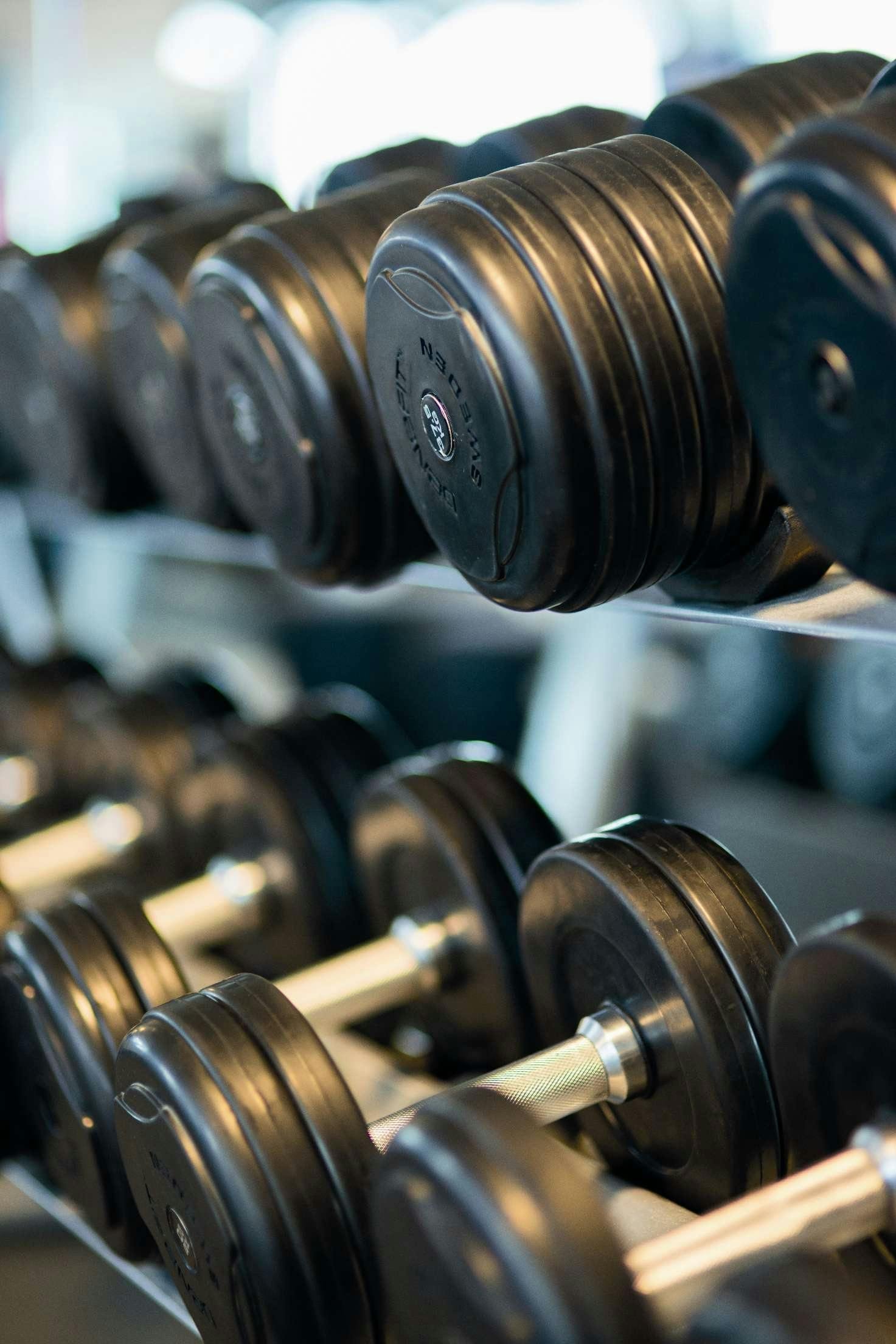 Row of black dumbbells on a rack in a gym.