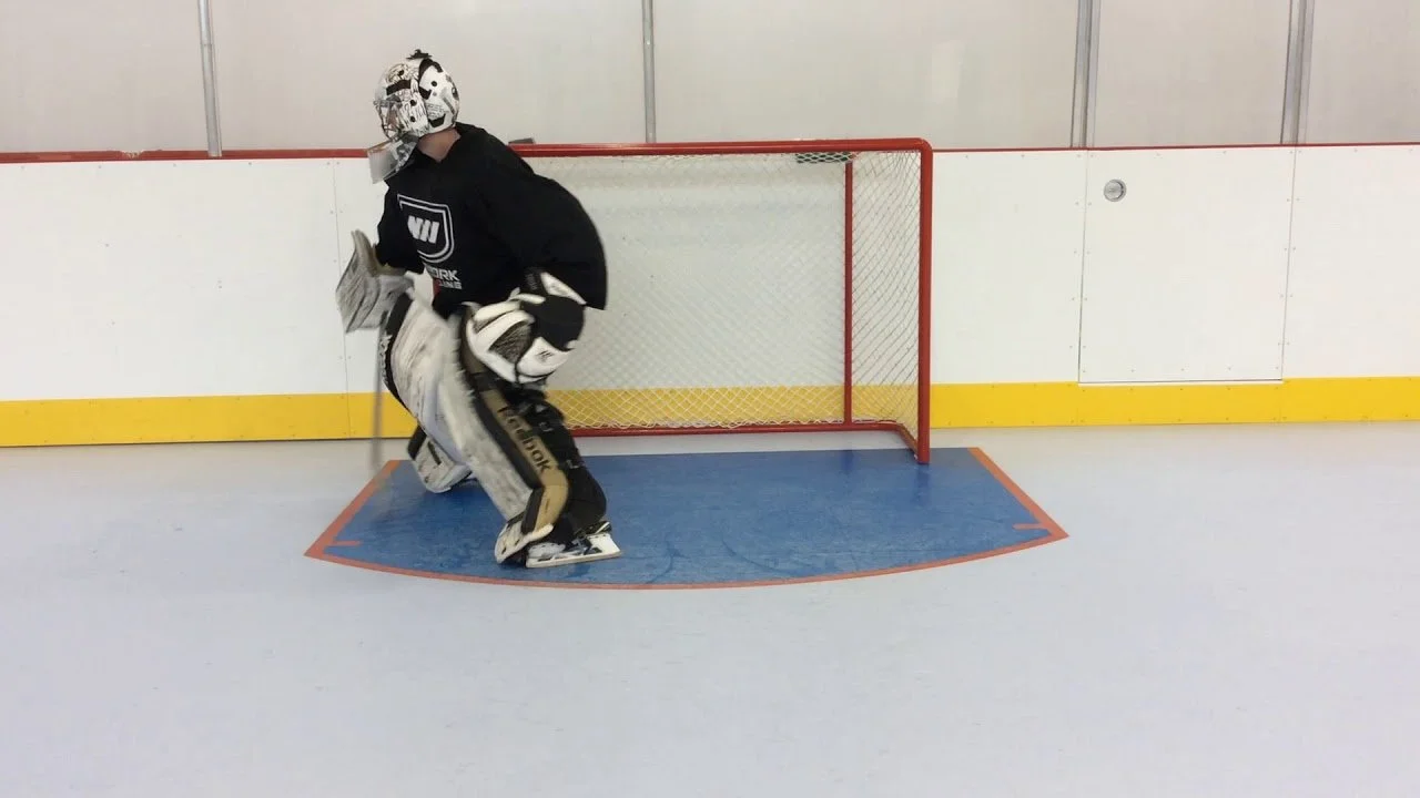 5 session  pack of on ice training