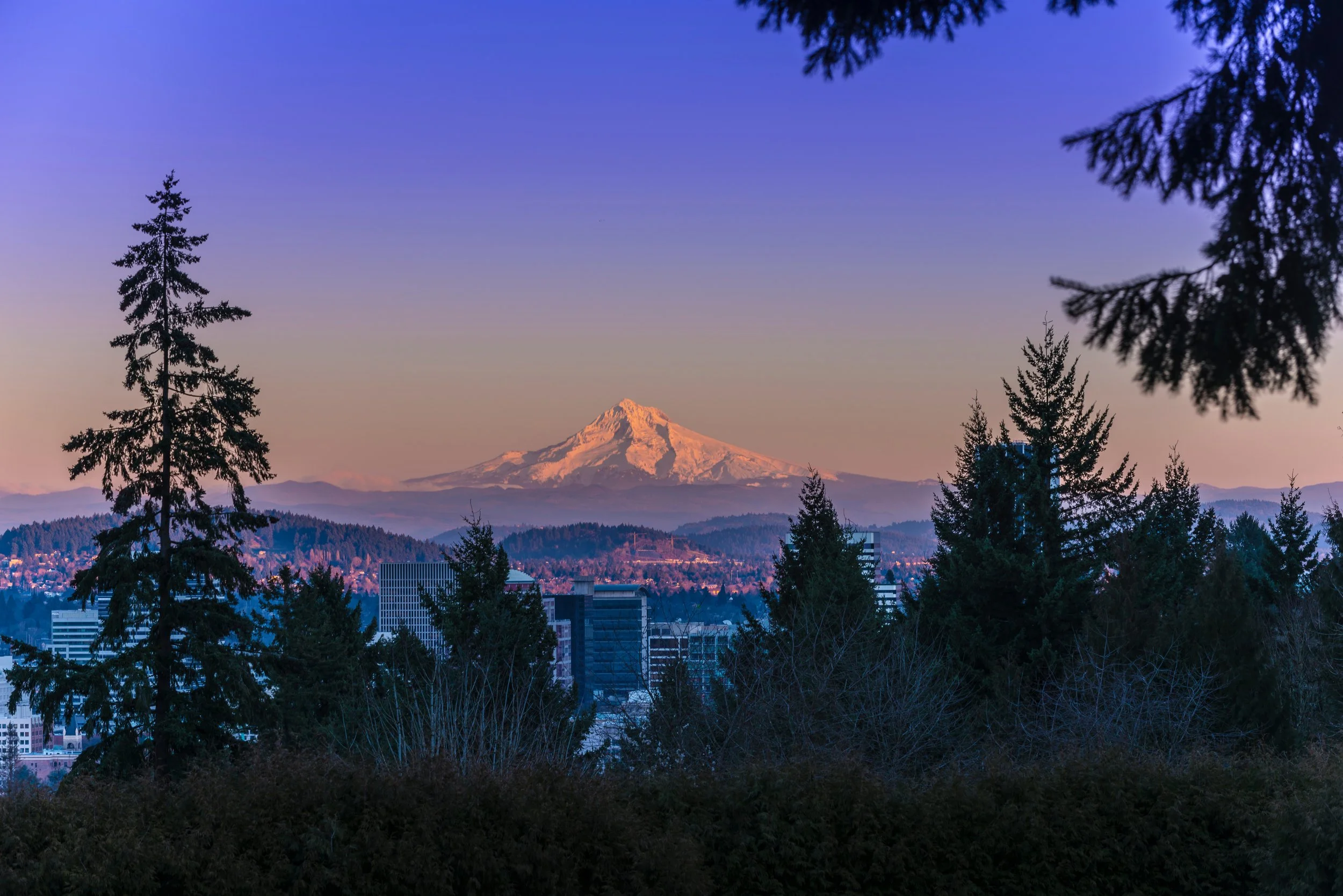 Mount Hood snow-capped mountain in the distance with a city skyline and forest in the foreground during sunset.