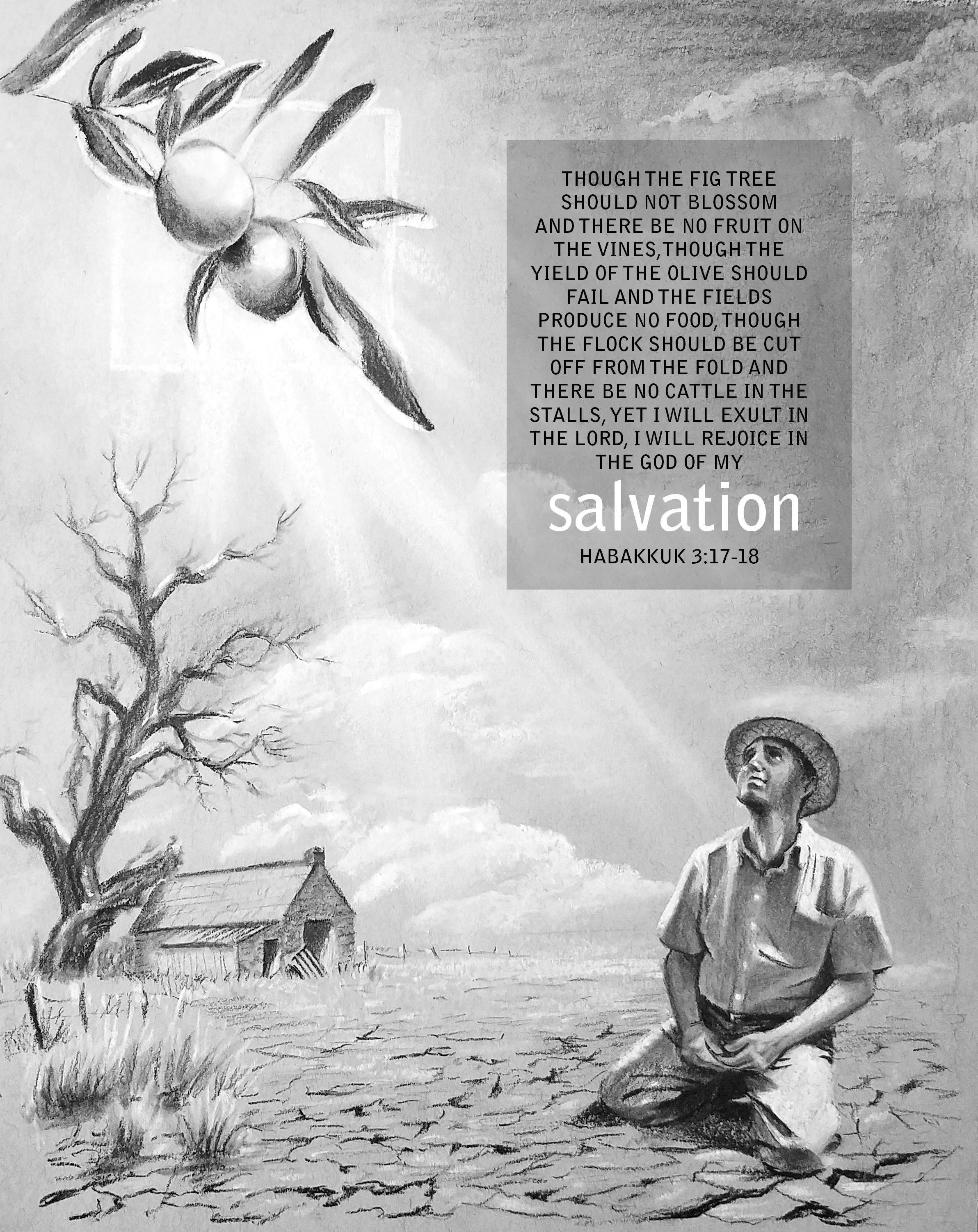 507 Olive Tree rsd.jpg