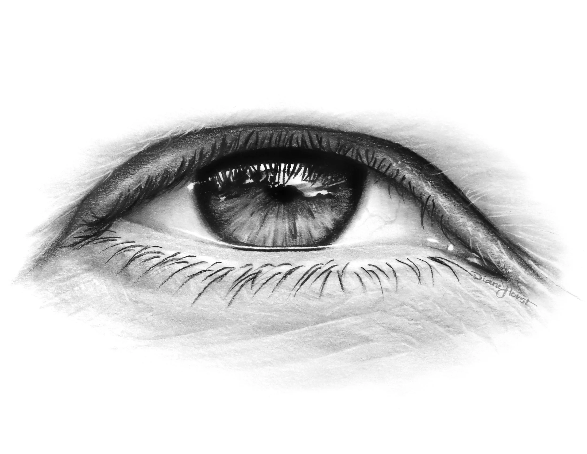 554 Light of the Body 8.5x11.jpg