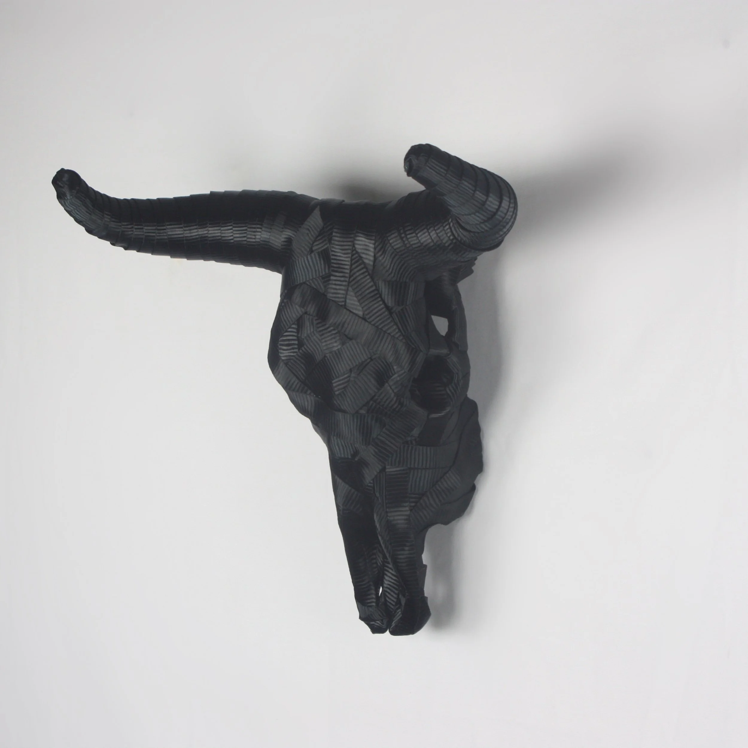"Black Cow", 2025
ratchet straps, cow skull
20" x 14" x 20"