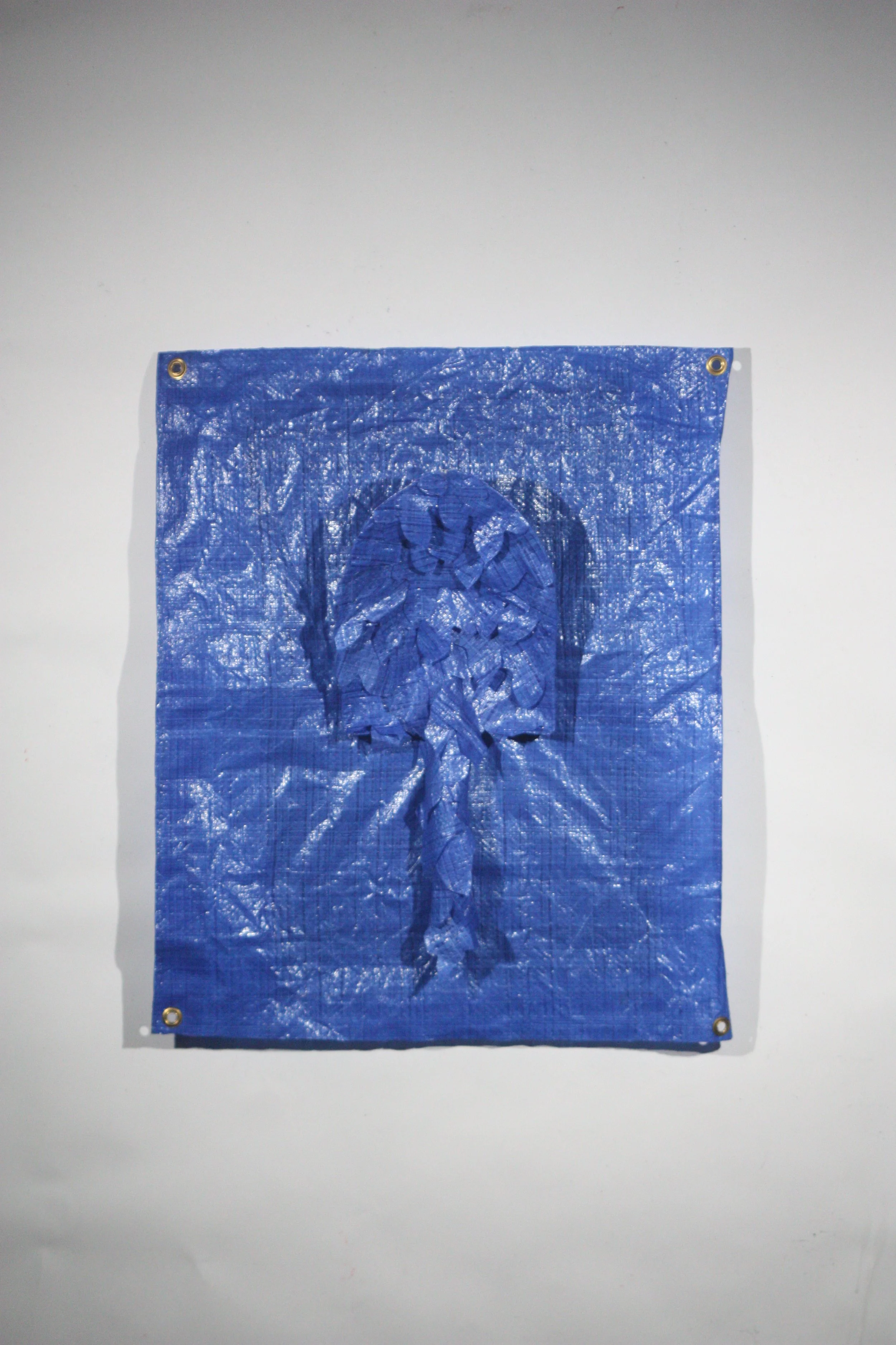 "Kudzu 1"
tarp & mixed media
28" x 24" x 5"