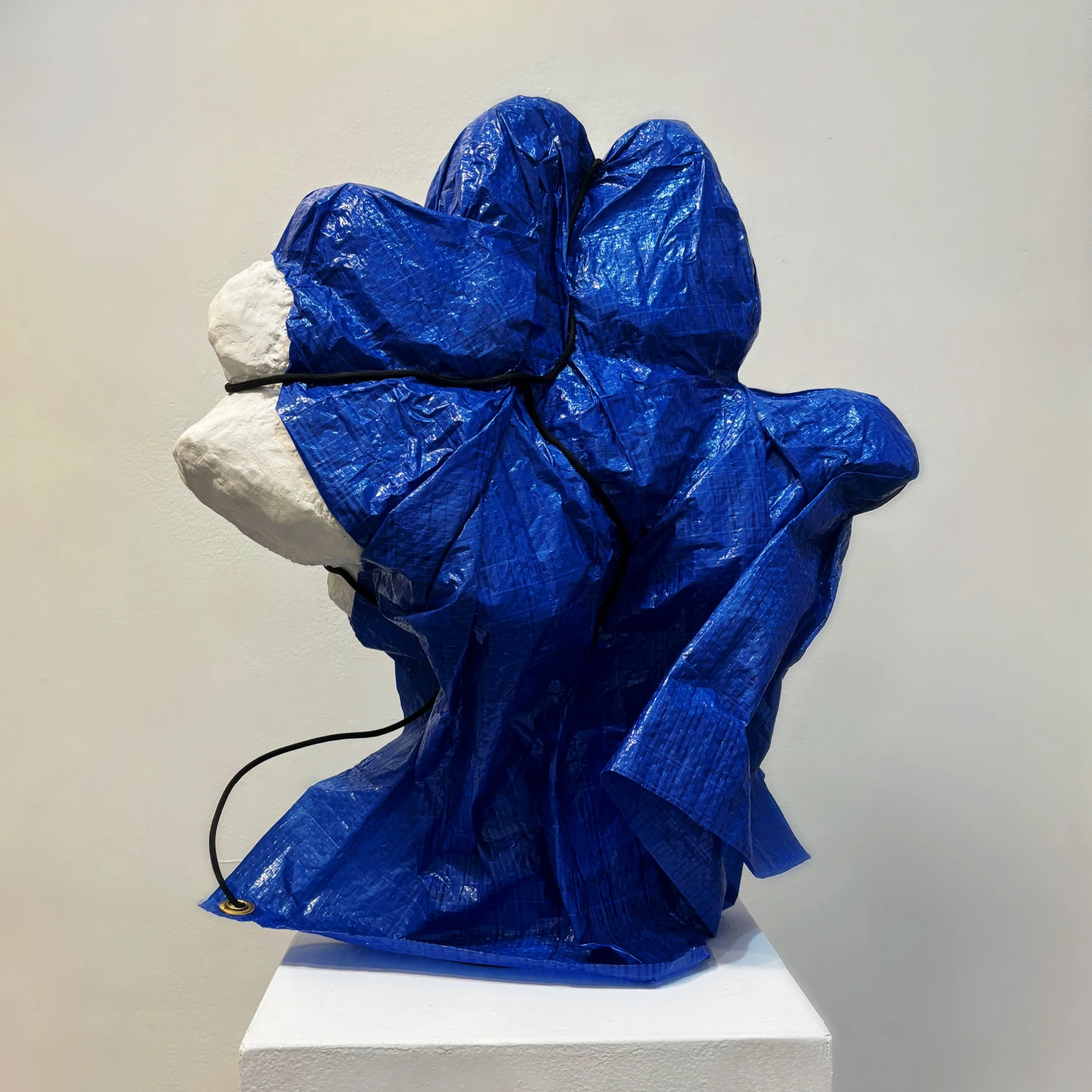 "Captured Memory (Maquette)"
21" x 18" x 11"
tarp, paracord & mixed media