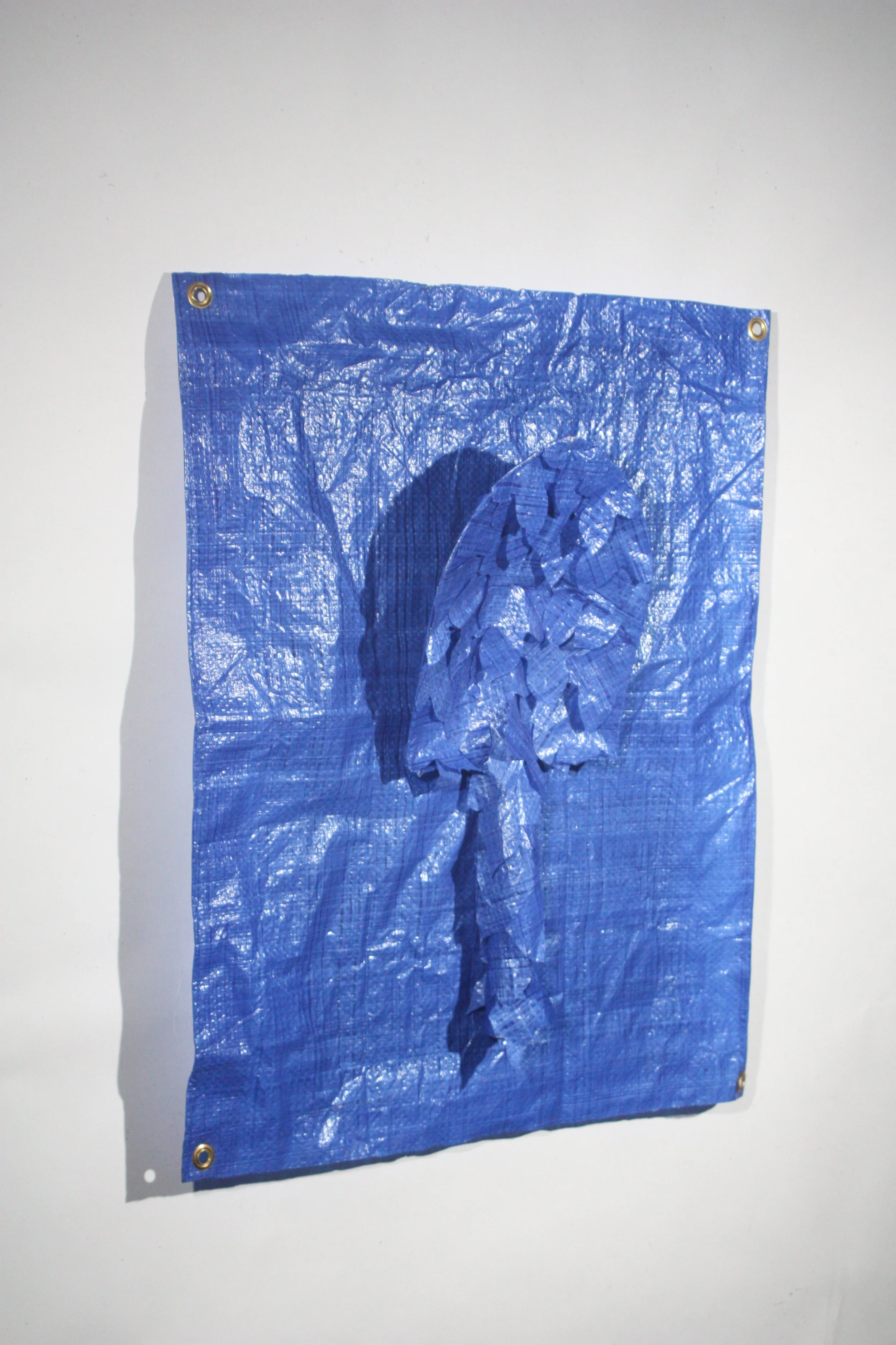 "Kudzu 1"
tarp & mixed media
28" x 24" x 5"