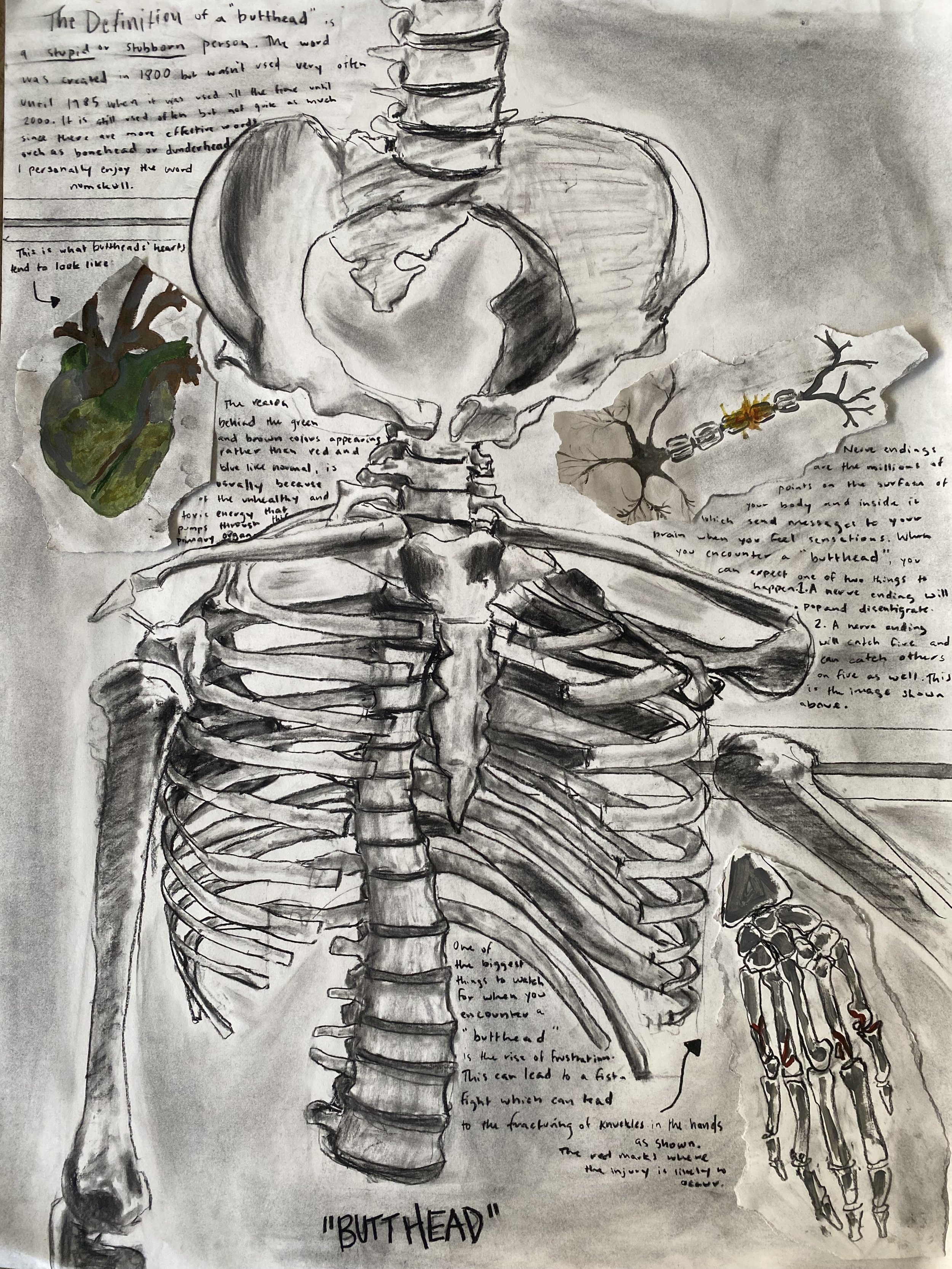 "Butt-Head"
Charcoal, Paint