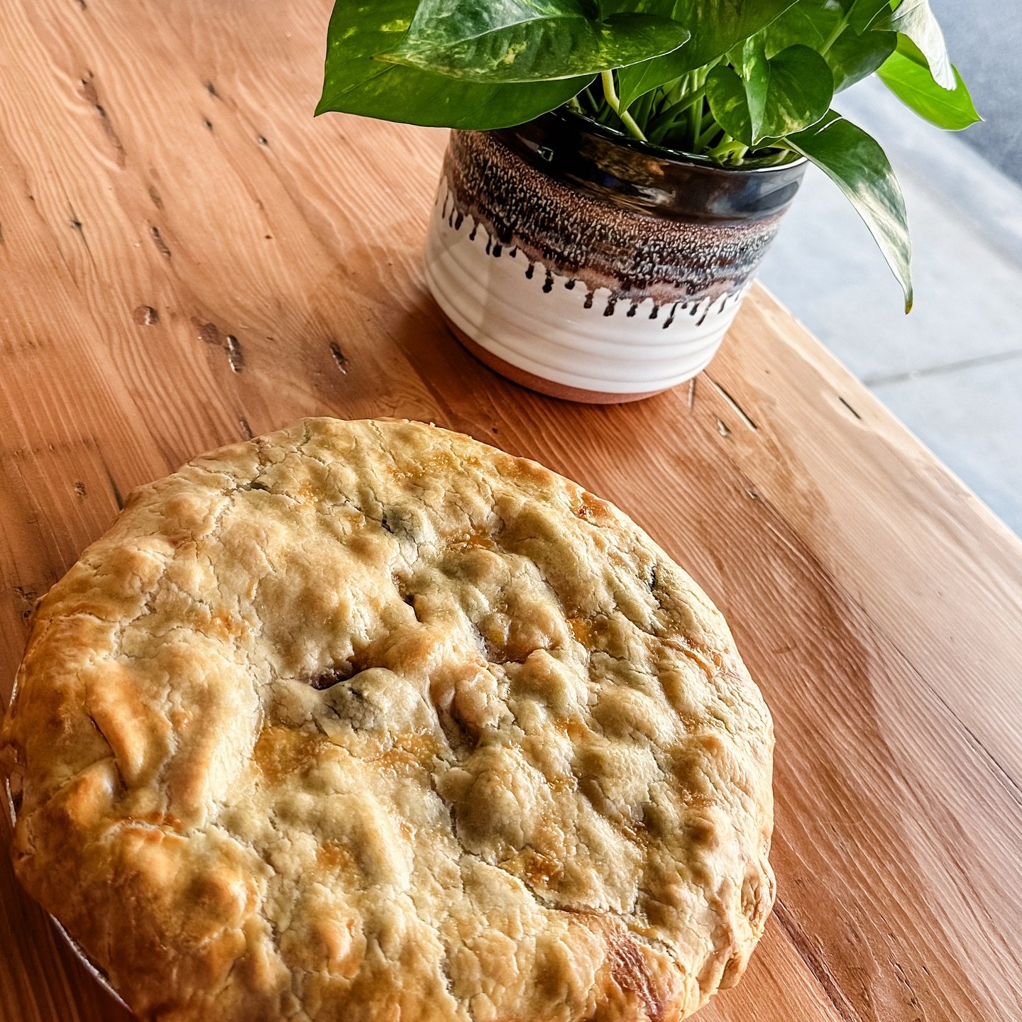 Chicken Pot Pies and Brisket Lasagnas are baked every Sunday for pick up! Perfect to throw in the oven tonight or to throw in the freezer til you are ready to cook them! Chicken Pot Pies are $35 and Brisket Lasagnas are $39 both serve 4-6 People!