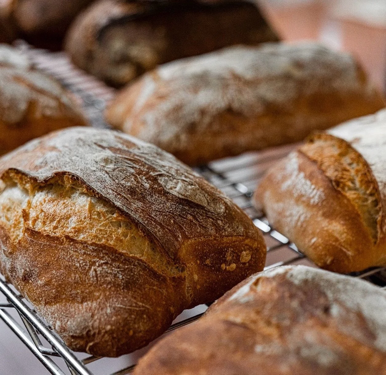 We have a new bread vendor @outofthinair.la and we are stoked on it! This also means fresh bread EVERY single morning! It also means some of the shapes of our sandwiches are changing but still the same size and fresh baked bread everyday guaranteed! 