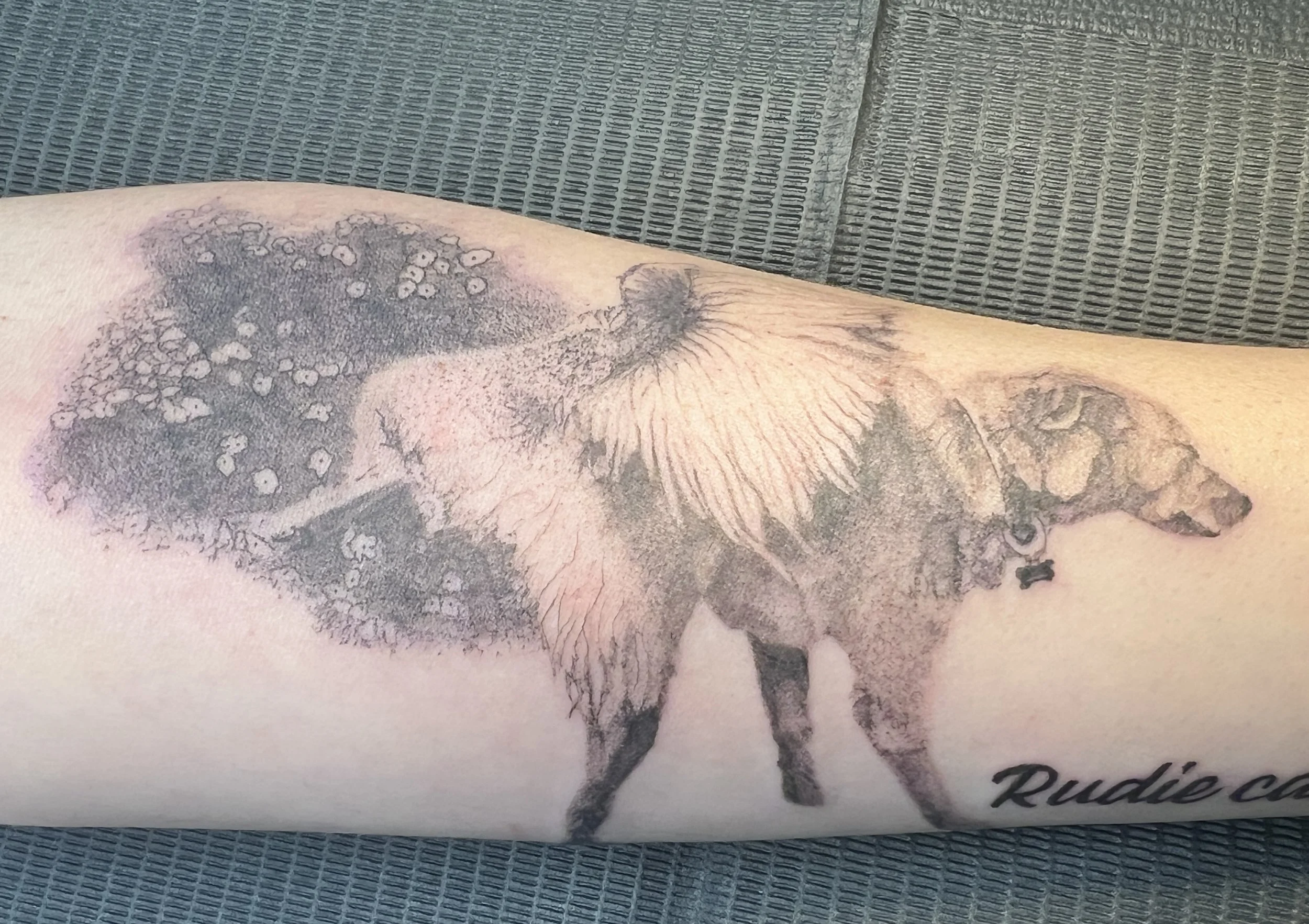 A tattoo of a wolf with floral designs on the body, located on a person's arm, with part of a logo or text reading 'Pudie' visible at the bottom right.