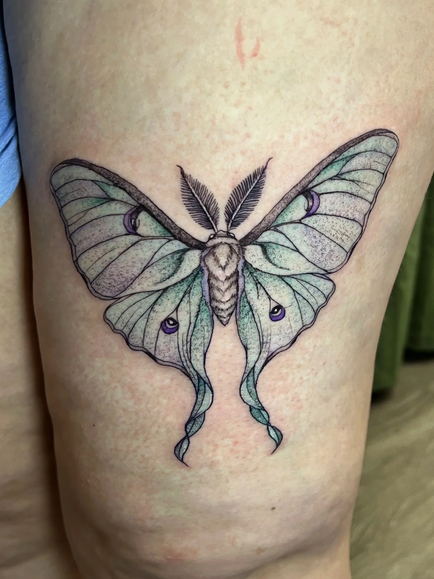A colorful butterfly tattoo on skin, featuring delicate wings with green, purple, and black details, and two feathers forming the antennae.