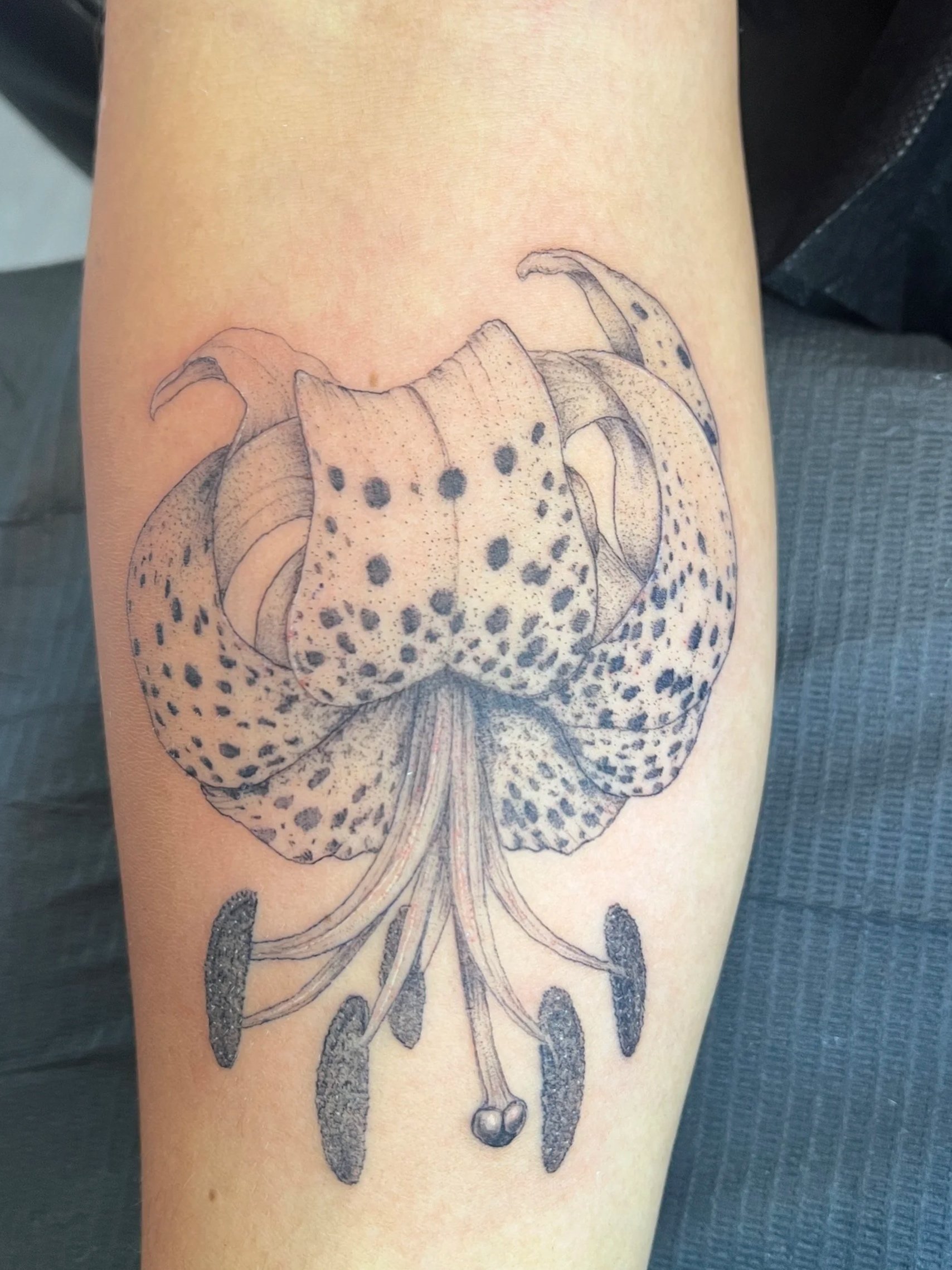 A detailed black and gray tattoo of a butterfly with spots on its wings on a person's arm.