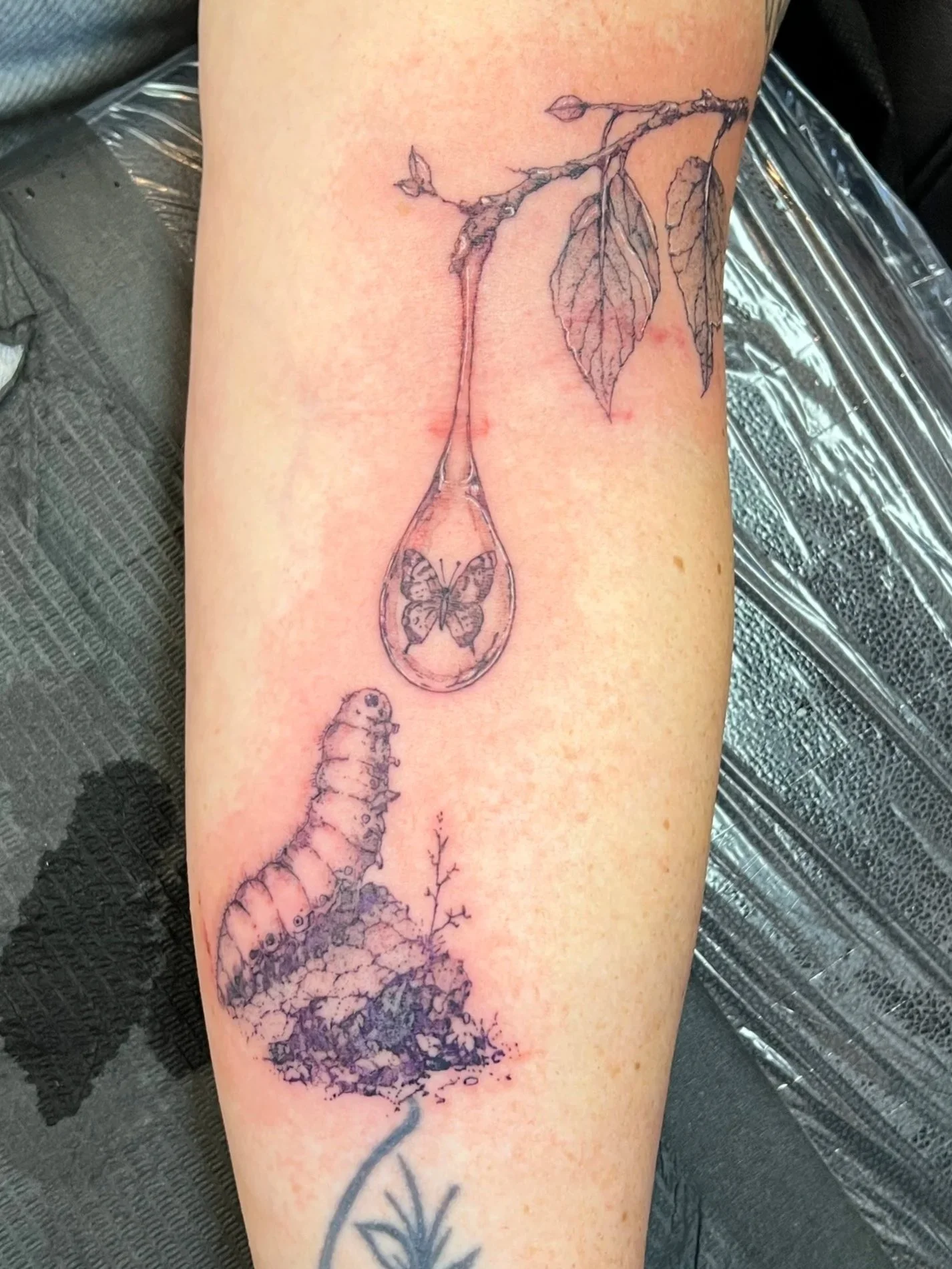 A tattoo of a branch with leaves and buds, a butterfly inside a circle, and a caterpillar on the arm.