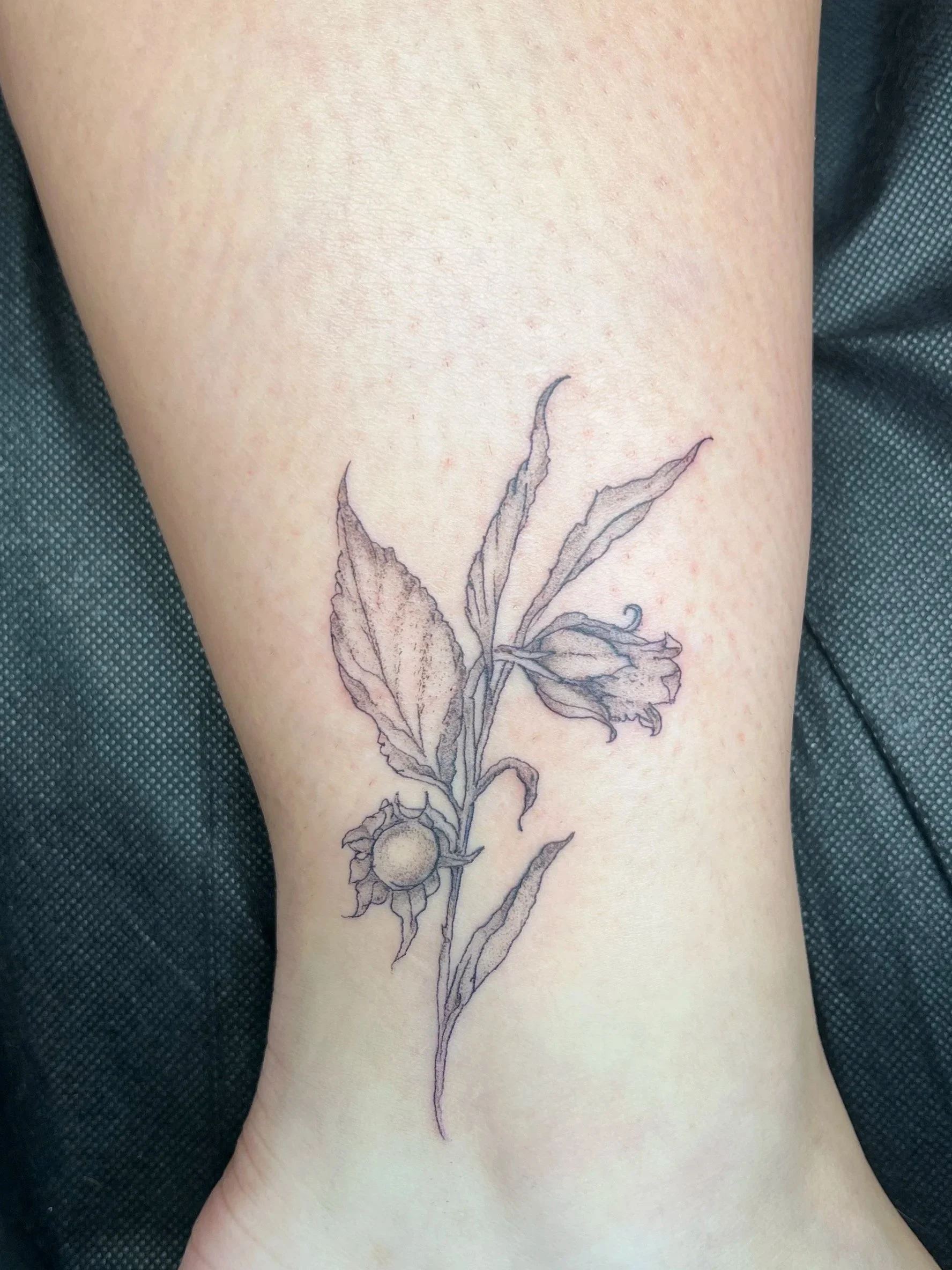 A tattoo of a detailed botanical illustration of a sunflower plant on a person's upper arm.