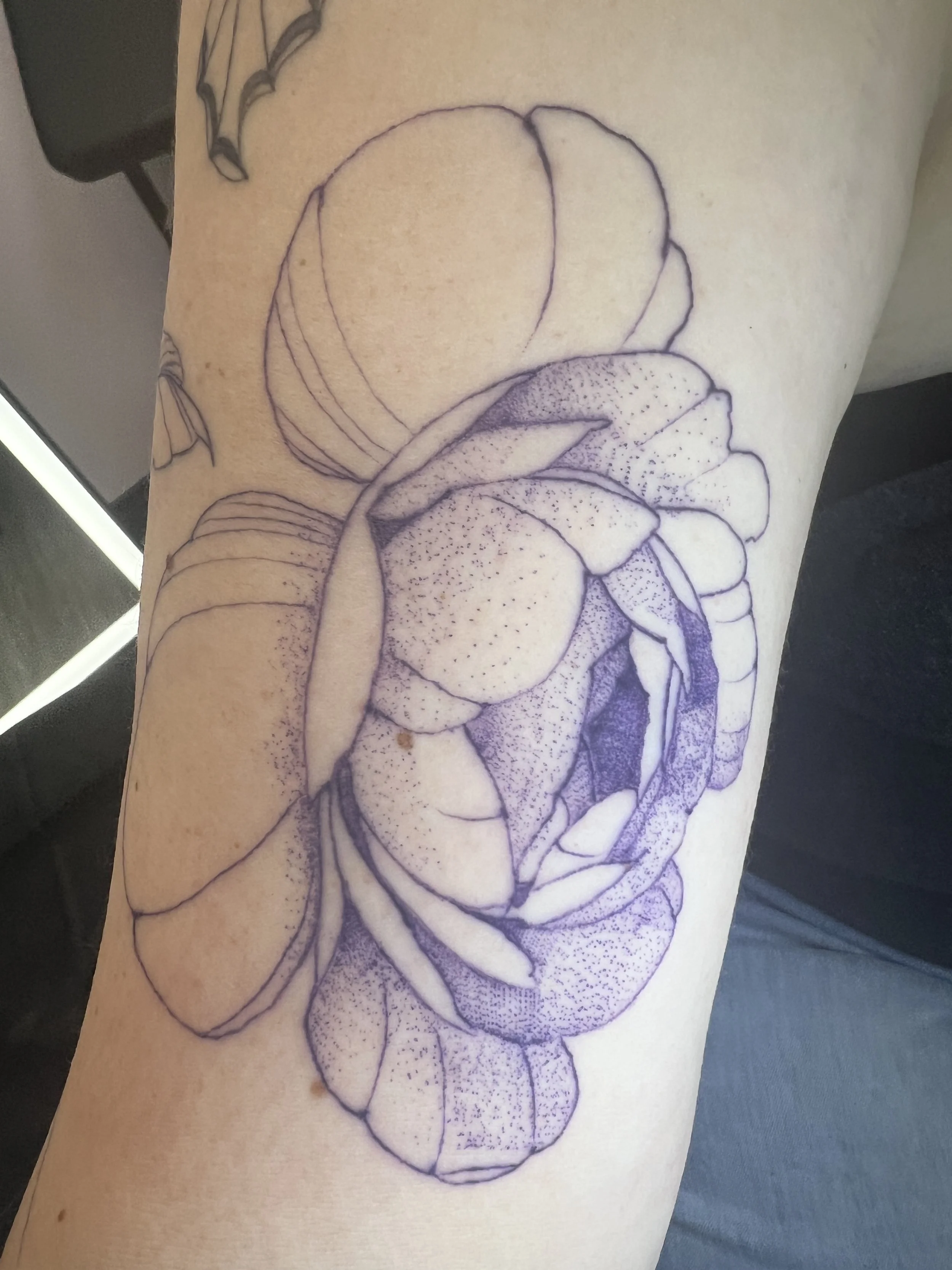 A black fine line tattoo of a rose flower on person's skin.